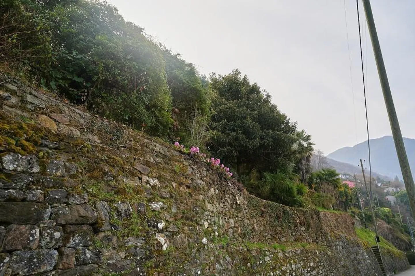 Terrain constructible de 535 m2 avec une magnifique vue panoramique sur le lac - Photo 3 sur 16