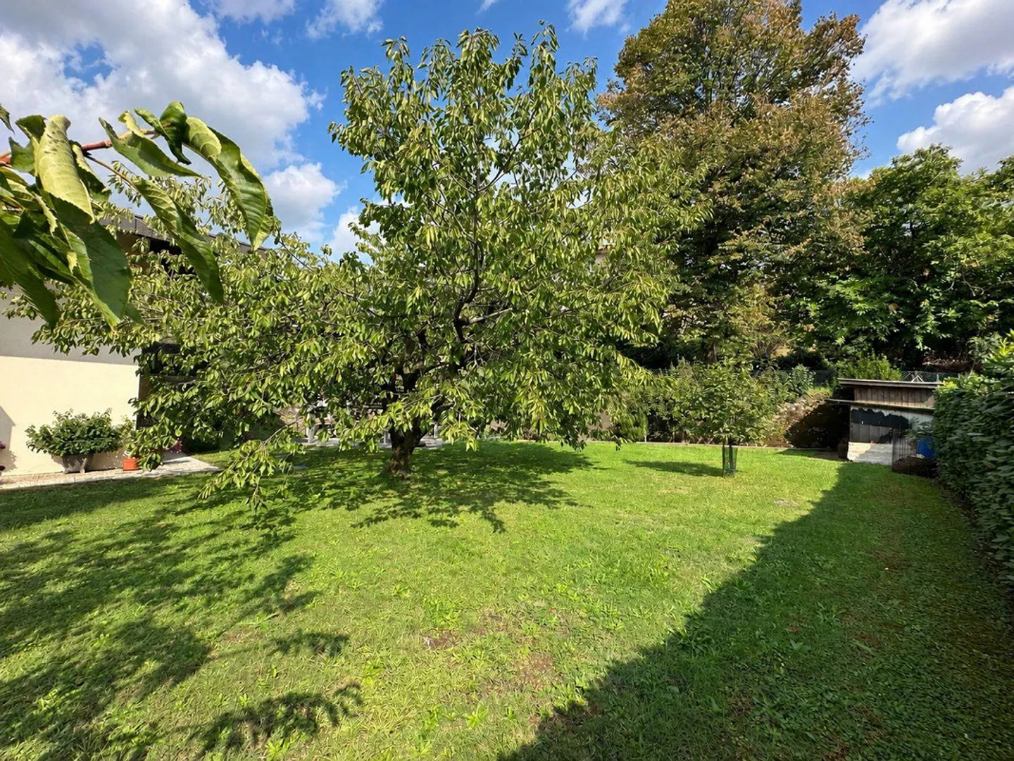 Maison unifamiliale accueillante et caractéristique avec grand jardin ... - Photo 20 sur 22