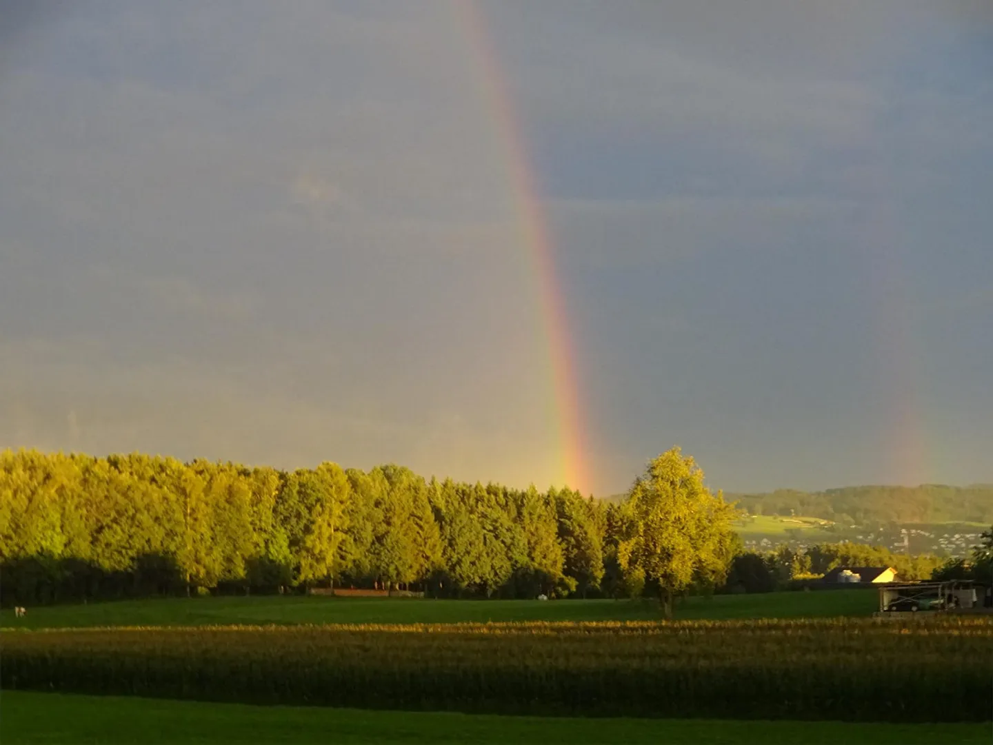 La Casa Residenziale per Arrivare - Foto 22 di 26