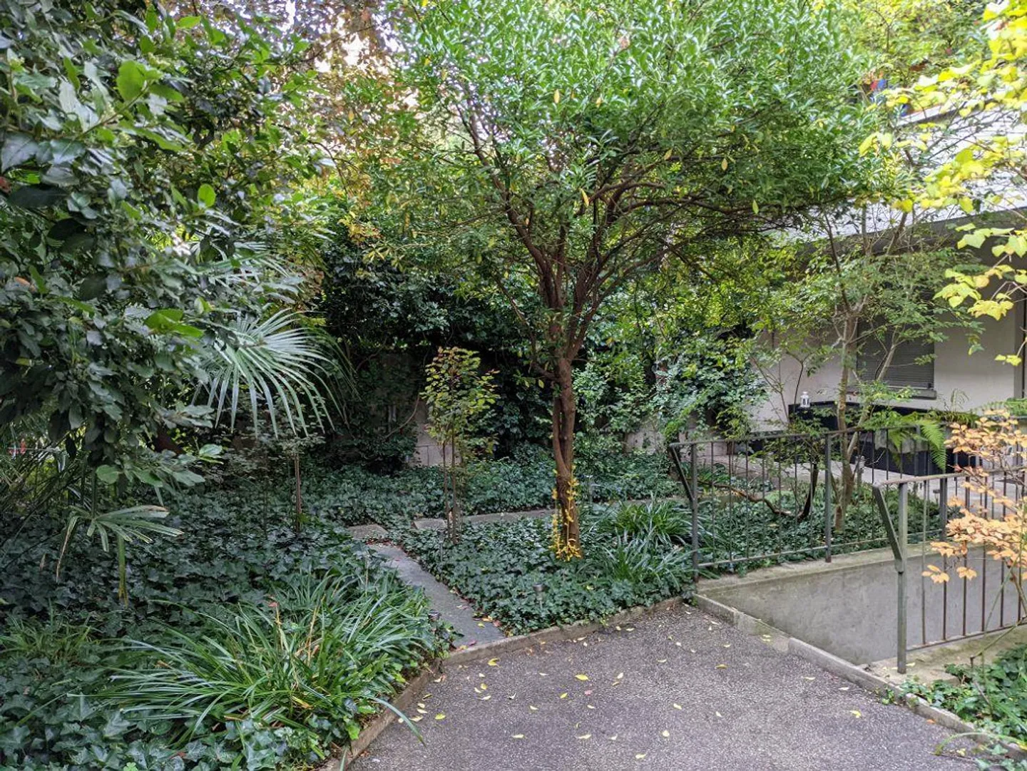 Helle Wohnung mit Terrasse - Foto 1 von 7