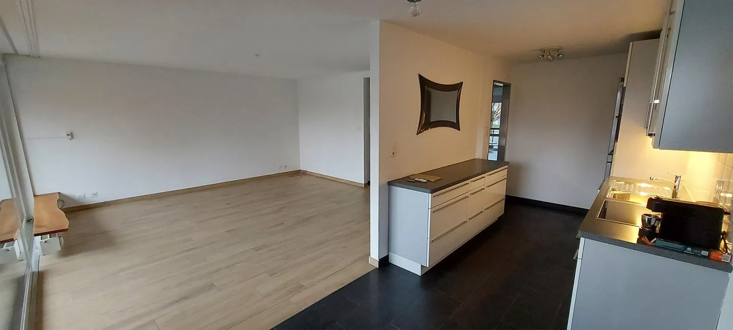 Il tuo appartamento, il tuo paradiso ai piedi del Wartenberg Muttenz - Foto 4 di 15