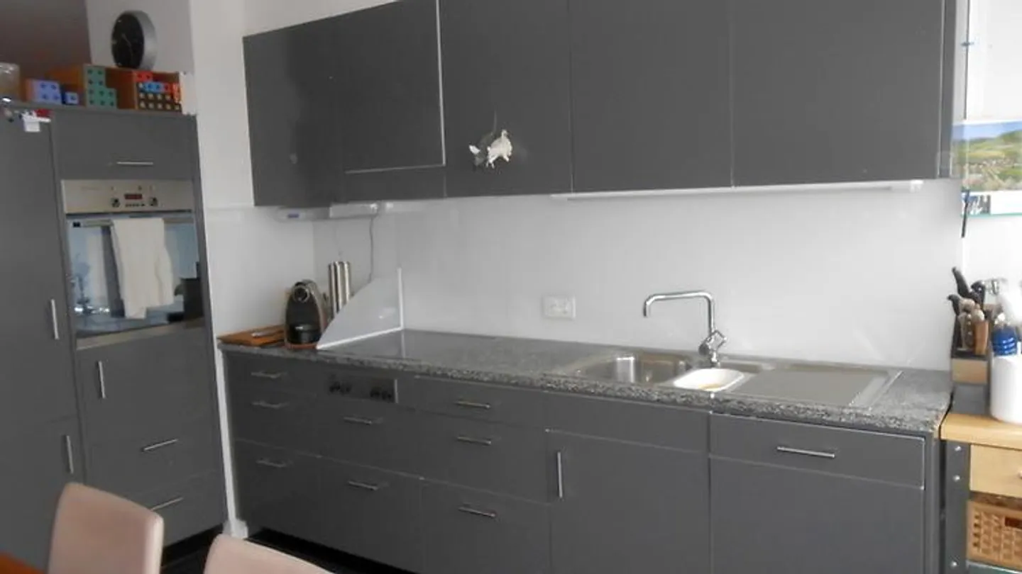 2½ ROOM APARTMENT IN ZURICH - DISTRICT 9 ALBISRIEDEN, FURNISHED, TEMPORARY - Photo 6 of 11