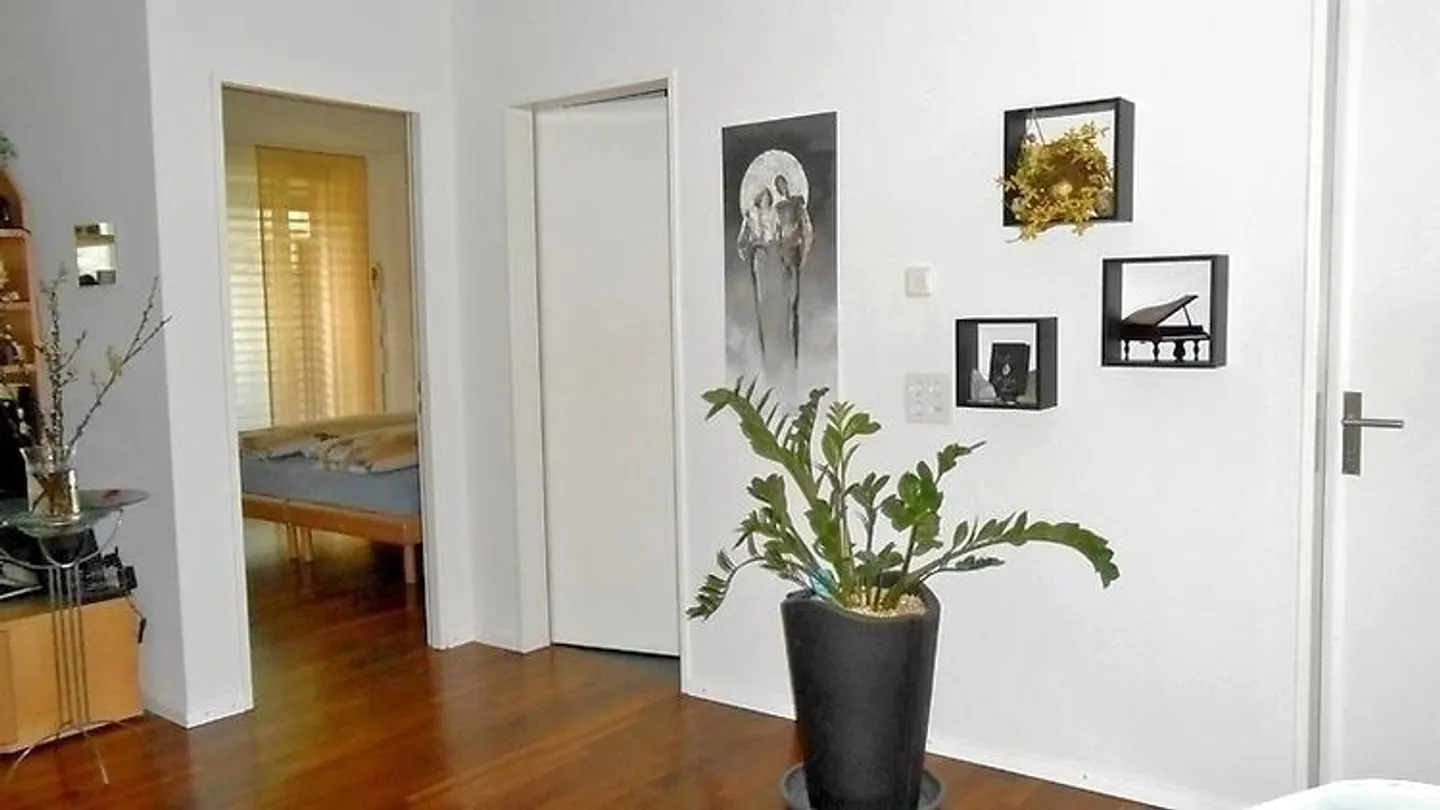 2½ ROOM APARTMENT IN ZURICH - DISTRICT 9 ALBISRIEDEN, FURNISHED, TEMPORARY - Photo 7 of 11