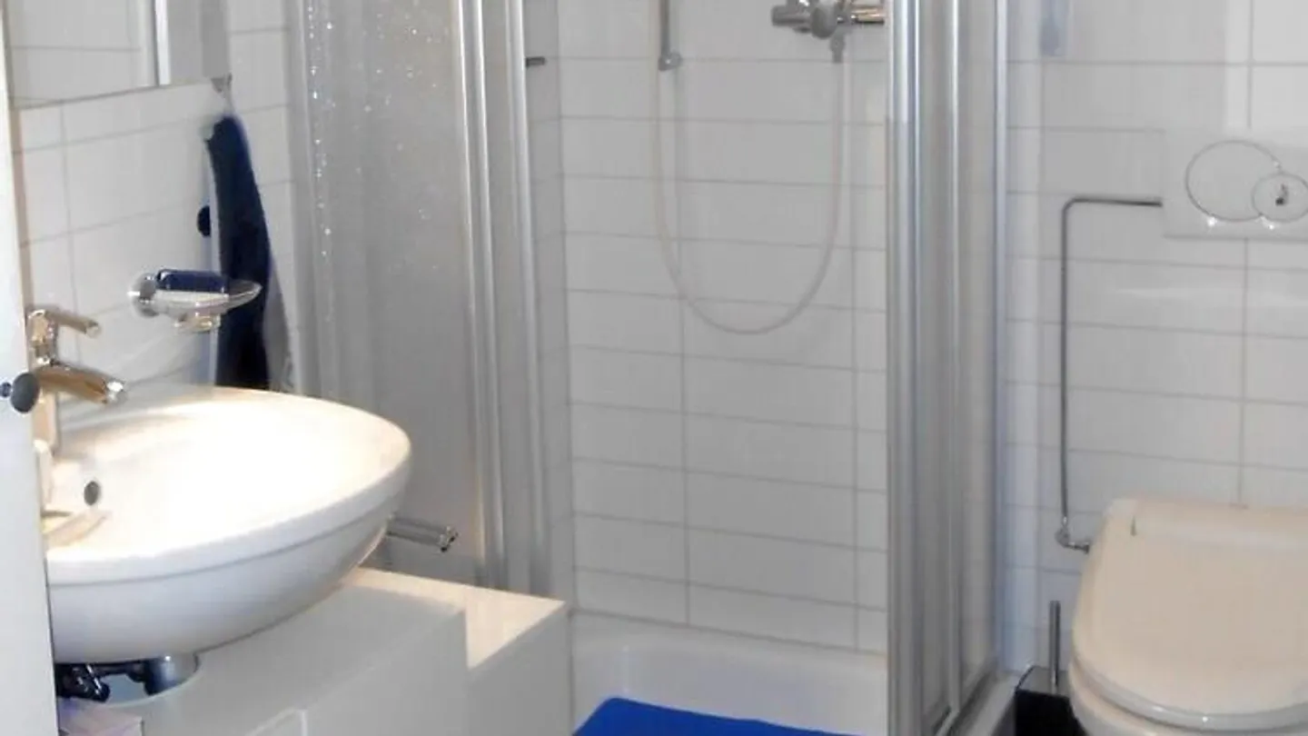 2½ ROOM APARTMENT IN ZURICH - DISTRICT 9 ALBISRIEDEN, FURNISHED, TEMPORARY - Photo 10 of 11