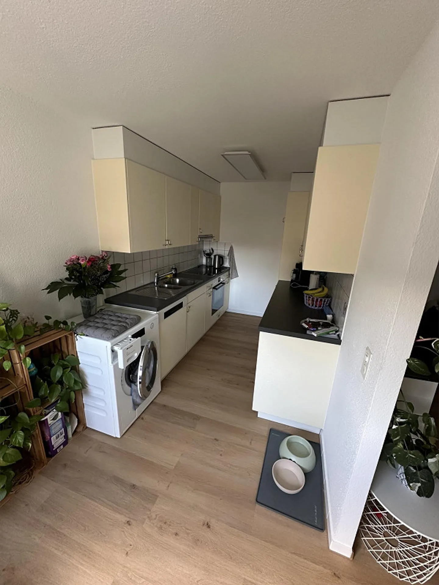 Charmante Wohnung in Hochdorf - Foto 3 von 6