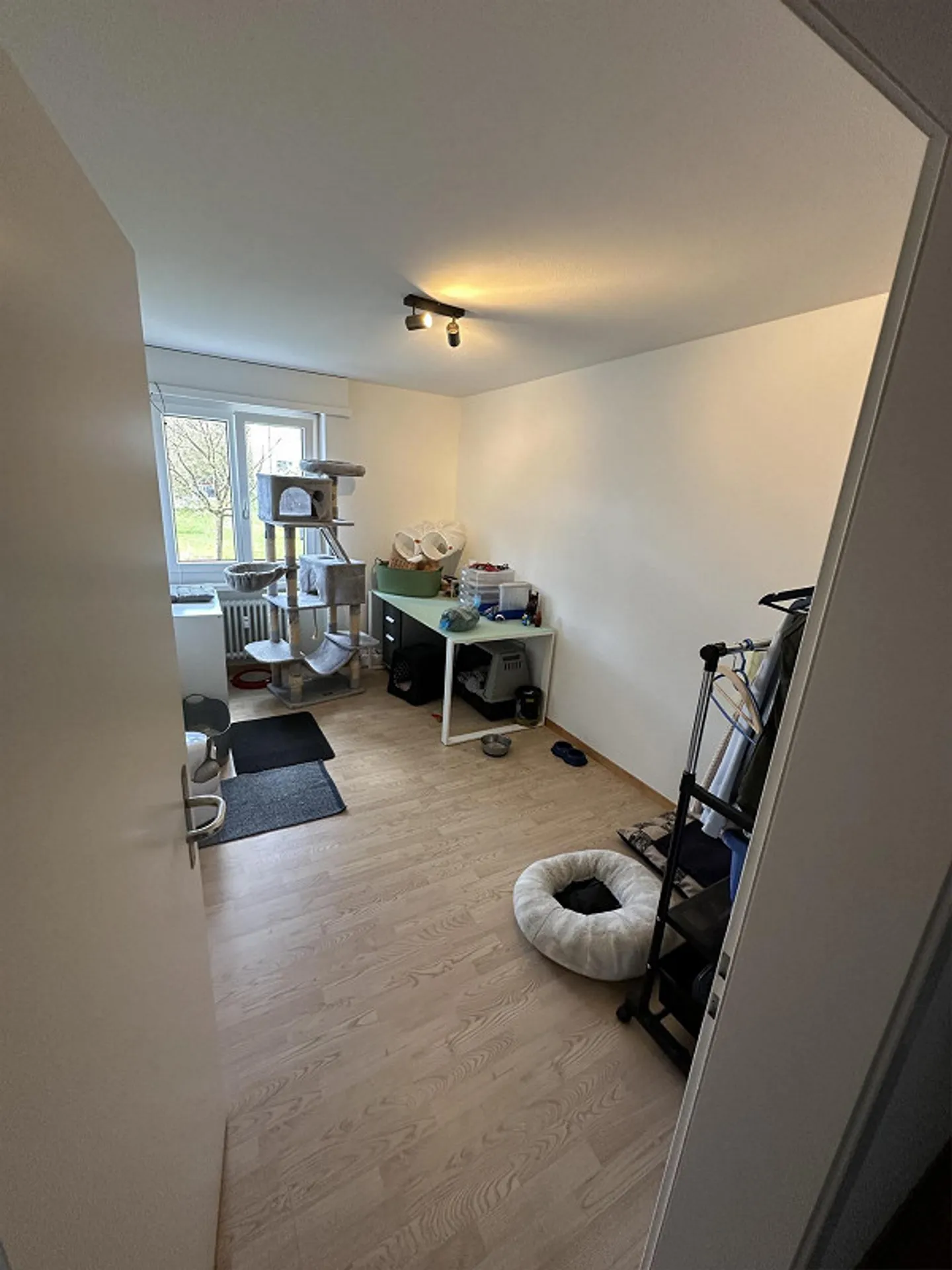 Charmante Wohnung in Hochdorf - Foto 5 von 6