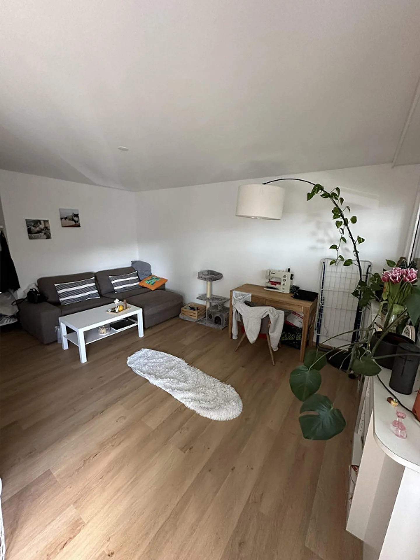 Charmante Wohnung in Hochdorf - Foto 6 von 6