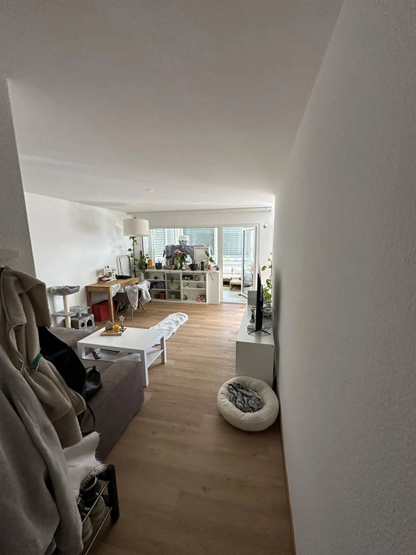 Charmante Wohnung in Hochdorf - Foto 1 von 6