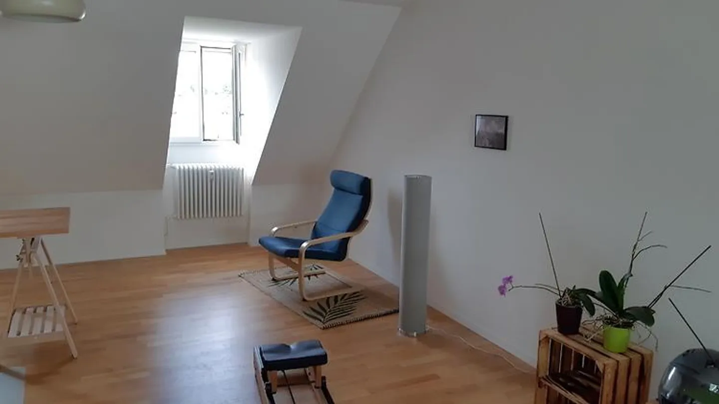 2½ ROOM APARTMENT IN BERN - MATTENHOF, FURNISHED, TEMPORARY - Photo 2 of 7