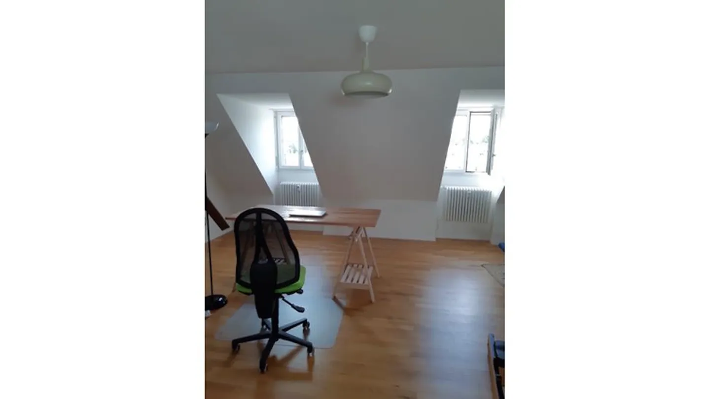 2½ ROOM APARTMENT IN BERN - MATTENHOF, FURNISHED, TEMPORARY - Photo 5 of 7