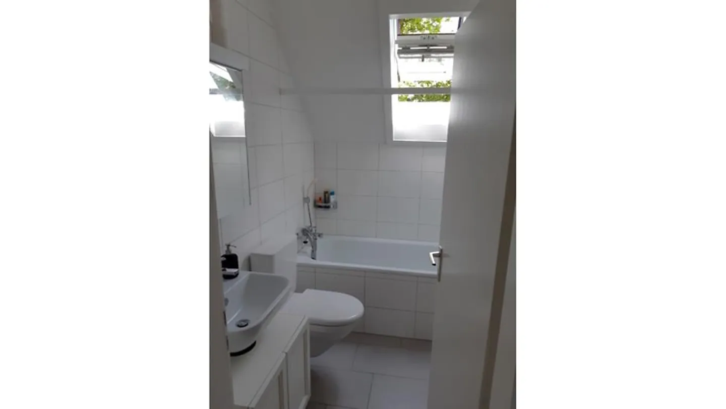 2½ ROOM APARTMENT IN BERN - MATTENHOF, FURNISHED, TEMPORARY - Photo 7 of 7