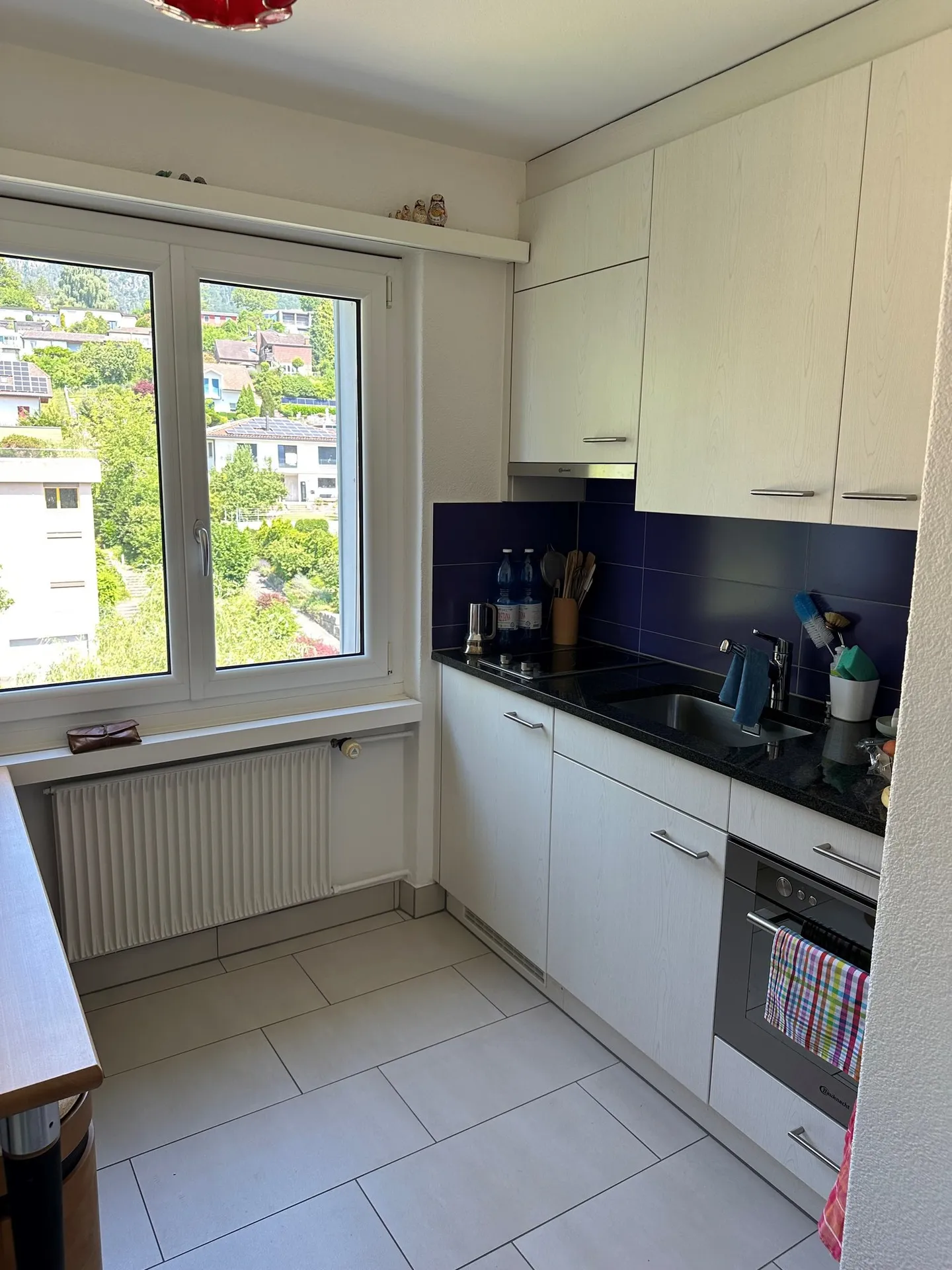 Accogliente appartamento monolocale a Rüttenen - Foto 1 di 4