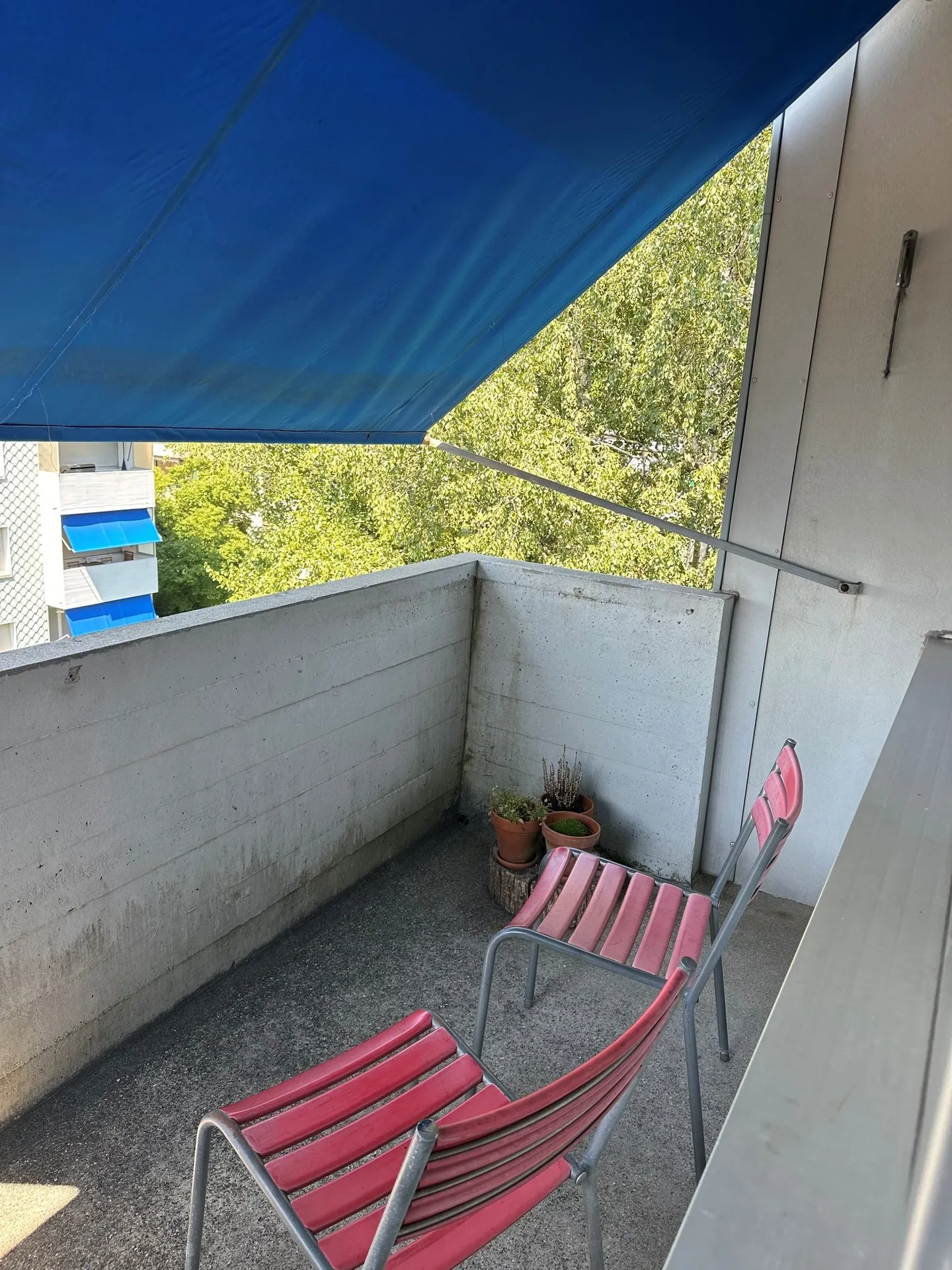 Accogliente appartamento monolocale a Rüttenen - Foto 4 di 4