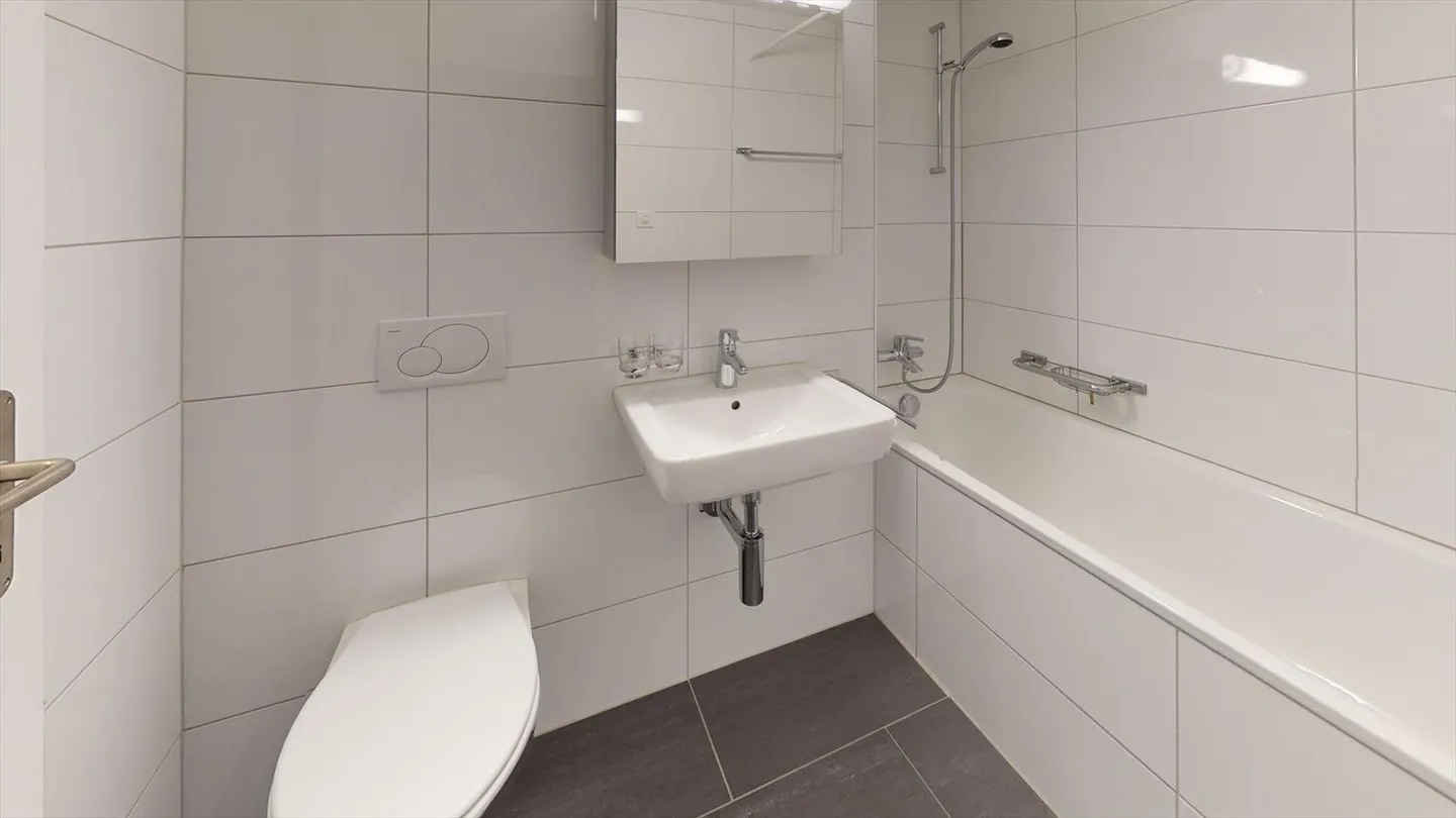 Attique à louer - Photo 4 sur 8