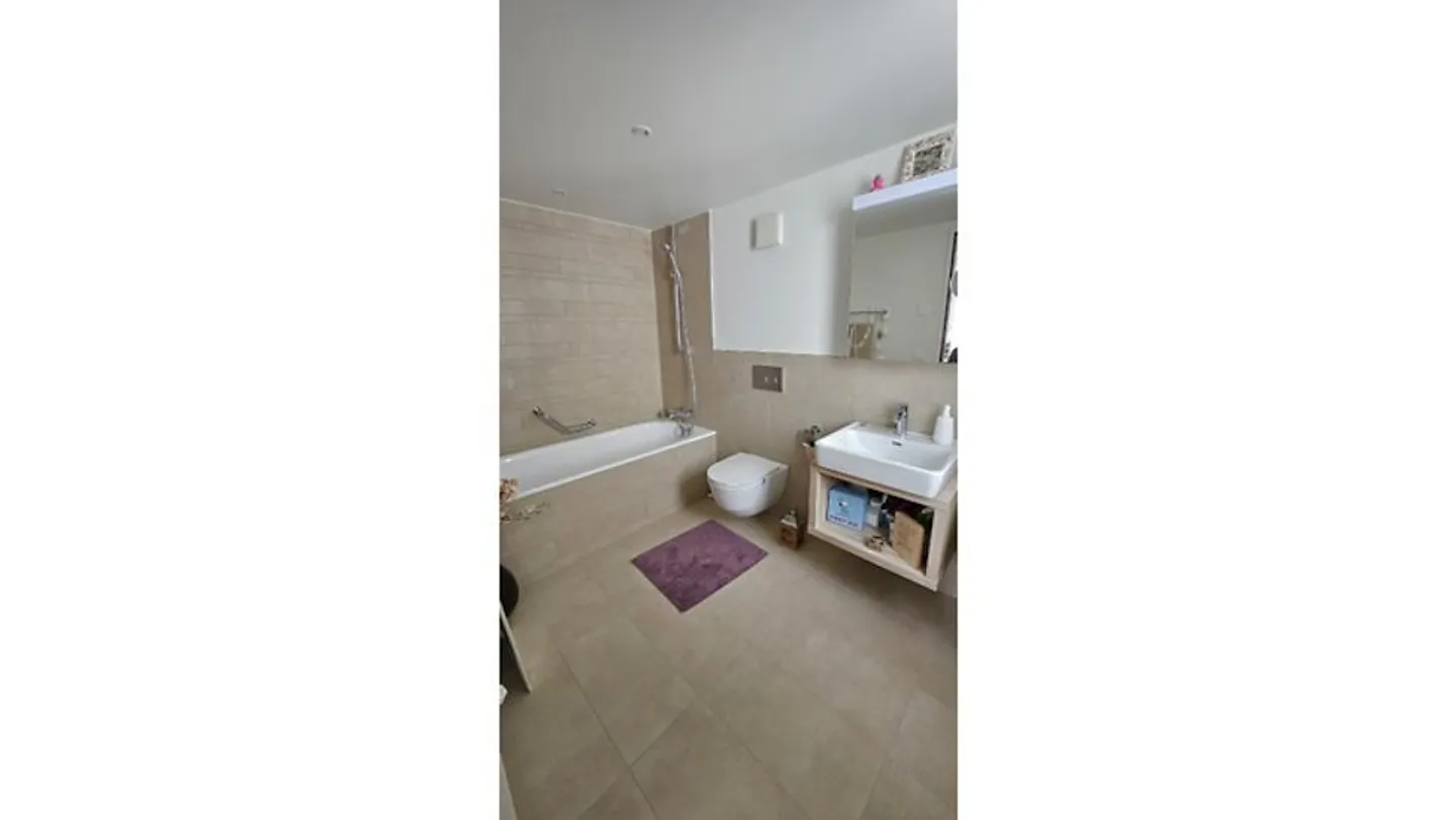 3½ ROOM APARTMENT IN SCHNEISINGEN (AG), FURNISHED, TEMPORARY - Photo 6 of 10