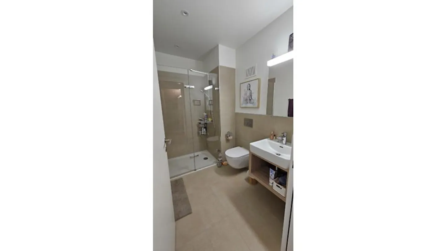 3½ ROOM APARTMENT IN SCHNEISINGEN (AG), FURNISHED, TEMPORARY - Photo 7 of 10