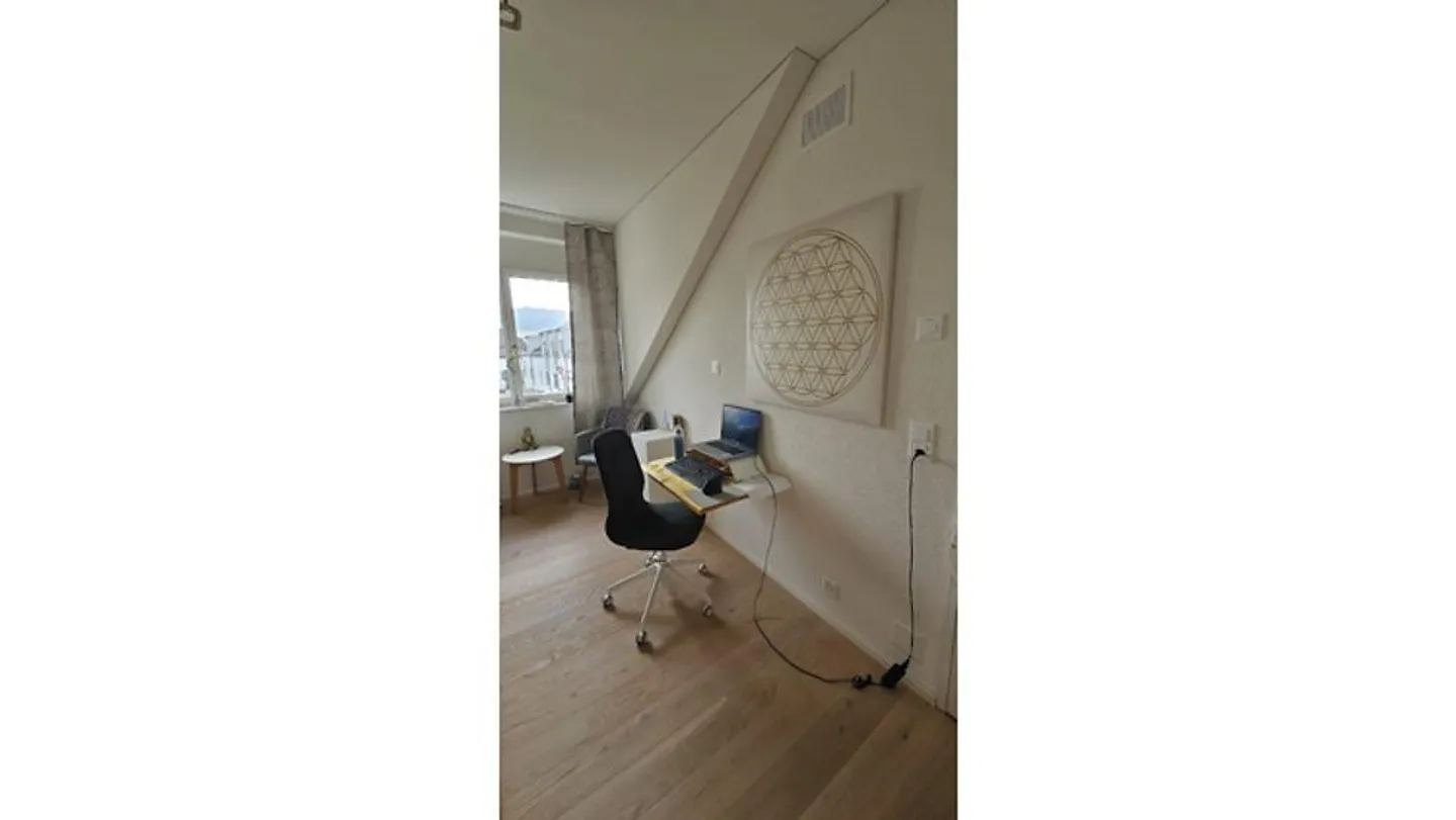 3½ ROOM APARTMENT IN SCHNEISINGEN (AG), FURNISHED, TEMPORARY - Photo 9 of 10