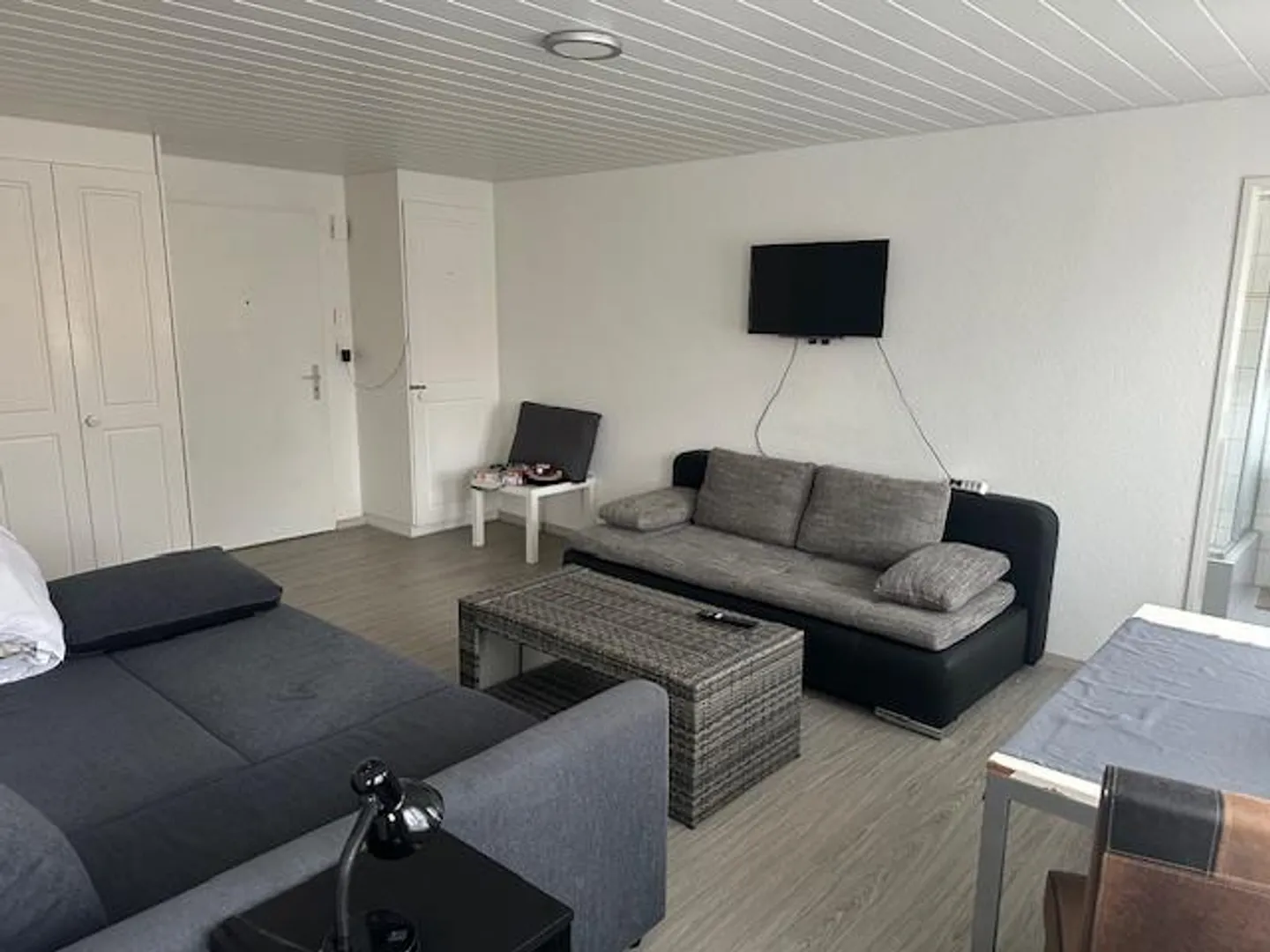 Appartement 1.5 pièces meublé et confortable, bien situé près du lac - Photo 3 sur 5