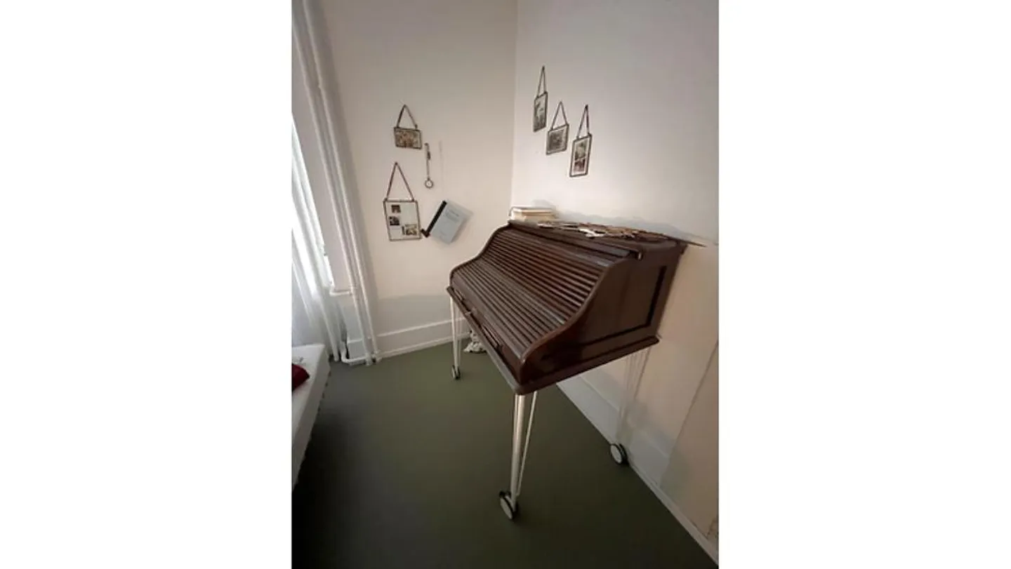 2 ROOM APARTMENT IN BERN - OLD TOWN, FURNISHED, TEMPORARY - Photo 7 of 10