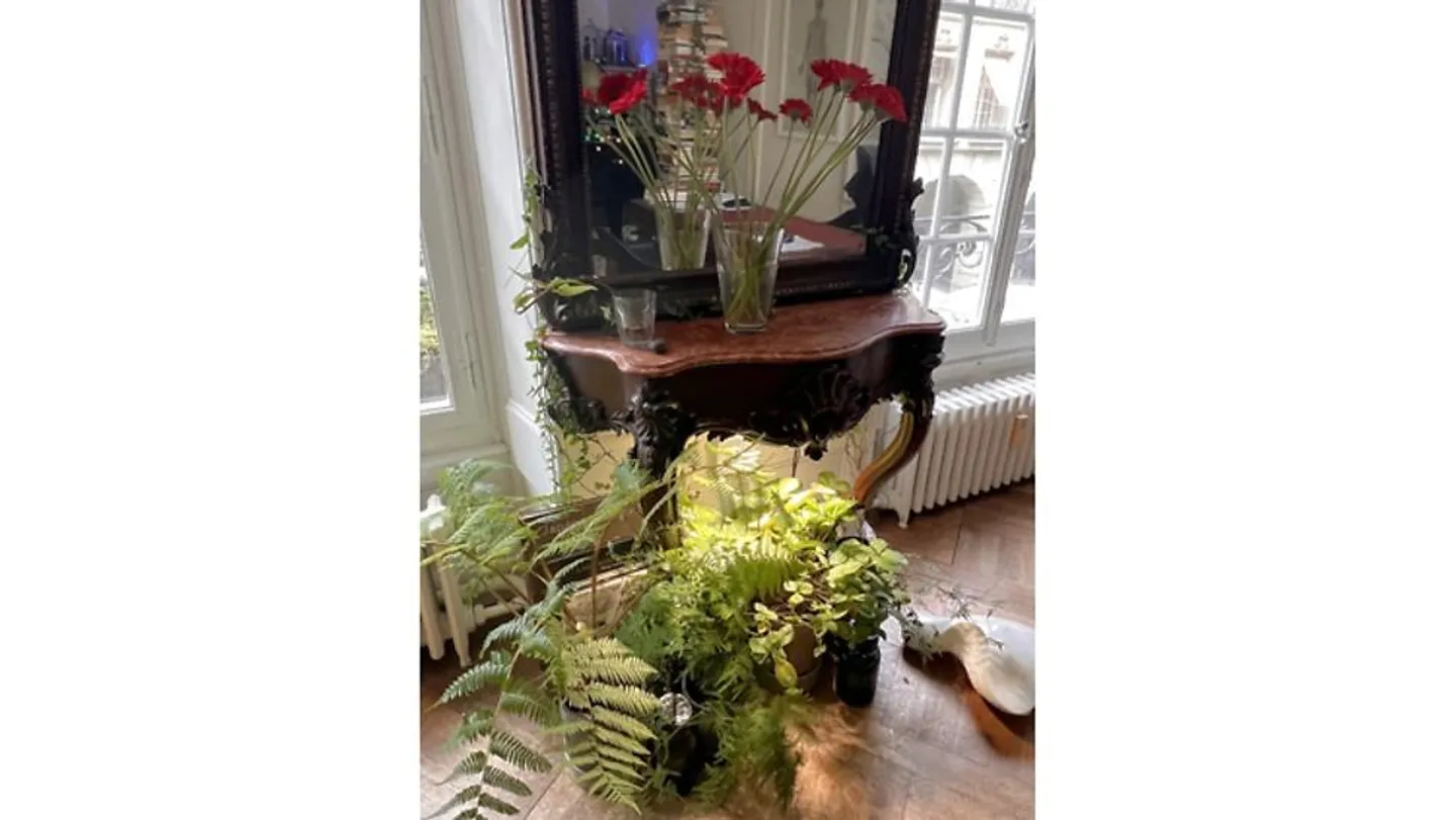 2 ROOM APARTMENT IN BERN - OLD TOWN, FURNISHED, TEMPORARY - Photo 10 of 10