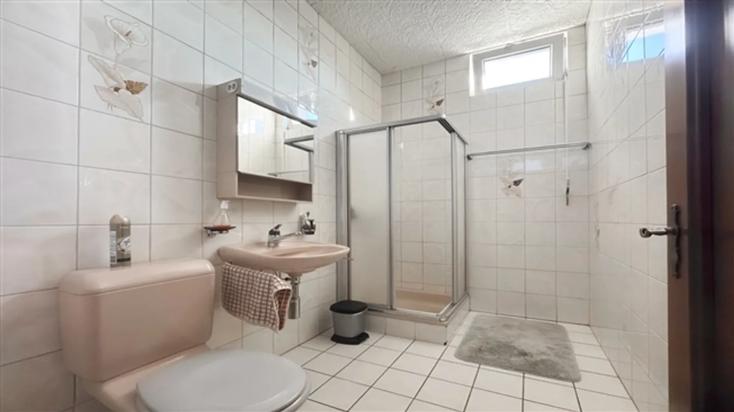 «Bereits vermietete Handwerkshallen und eine 5.5-Zimmer-Wohnung.» - Foto 11 von 14