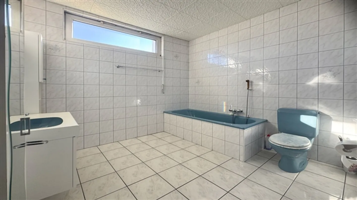 «Bereits vermietete Handwerkshallen und eine 5.5-Zimmer-Wohnung.» - Foto 12 von 14