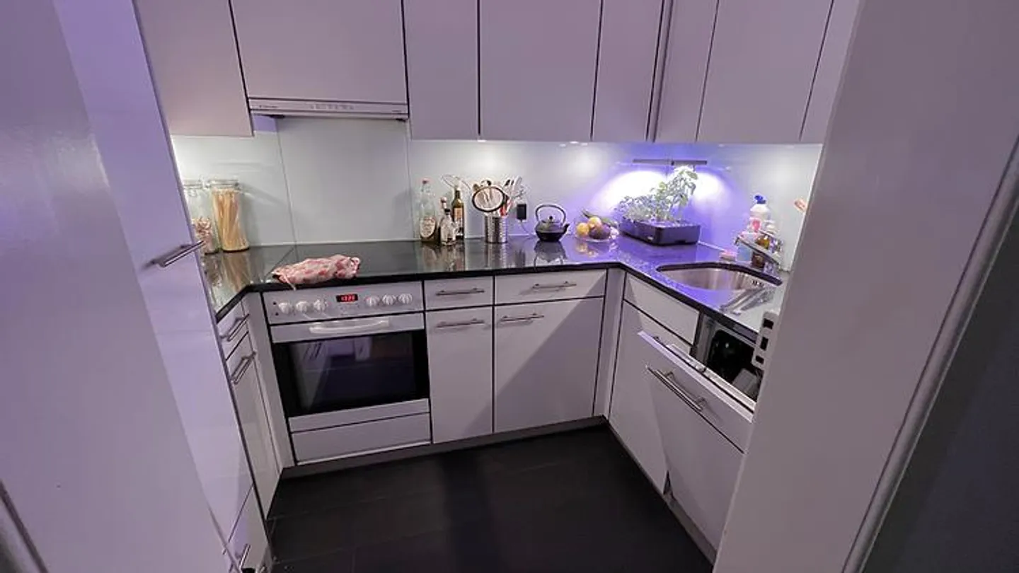 2 ROOM APARTMENT IN BERN - OLD TOWN, FURNISHED, TEMPORARY - Photo 4 of 10