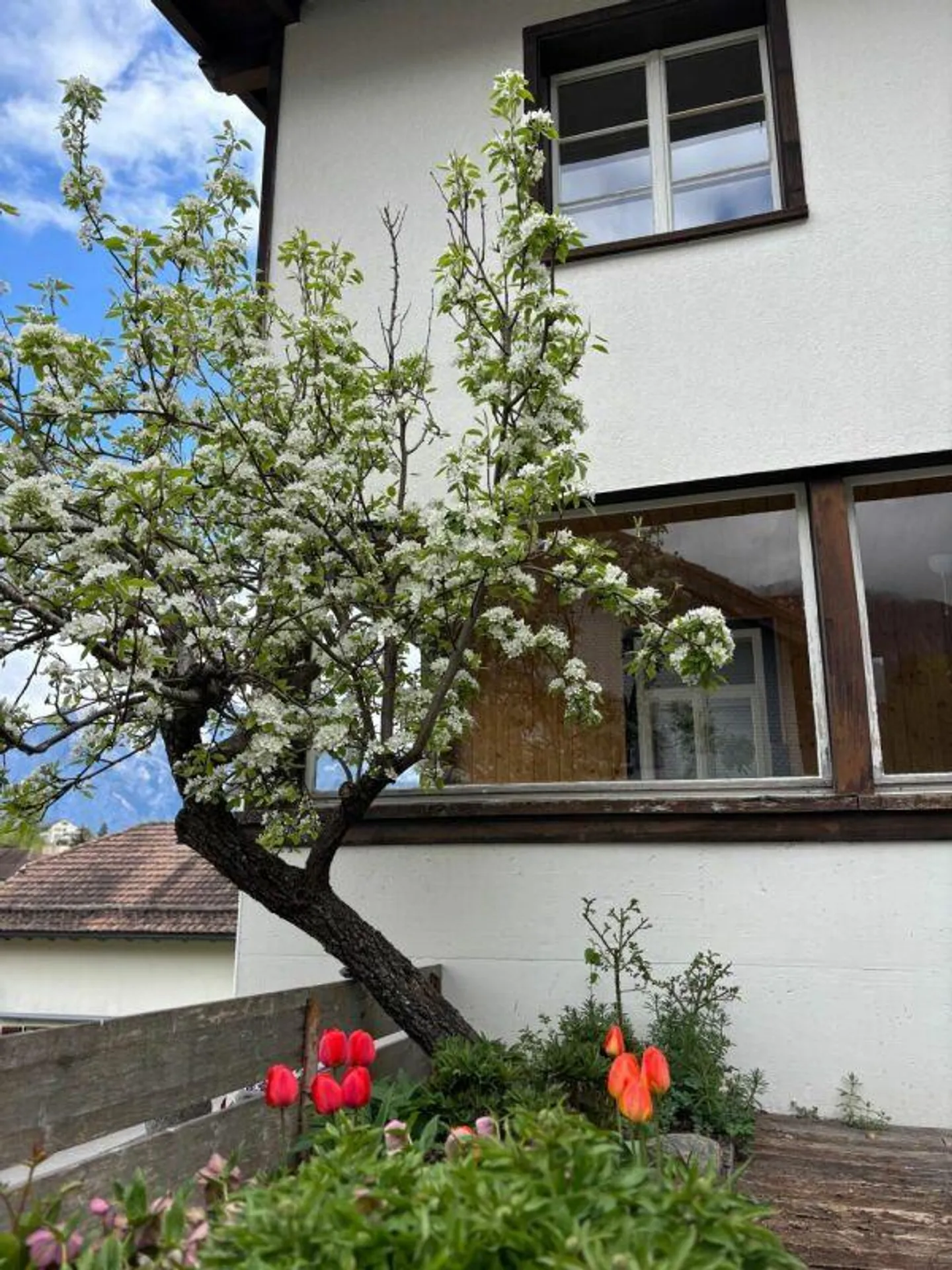 Ein Traum für Familien - idyllisches 7.5-Zi. Liebhaberhaus - Foto 12 von 13