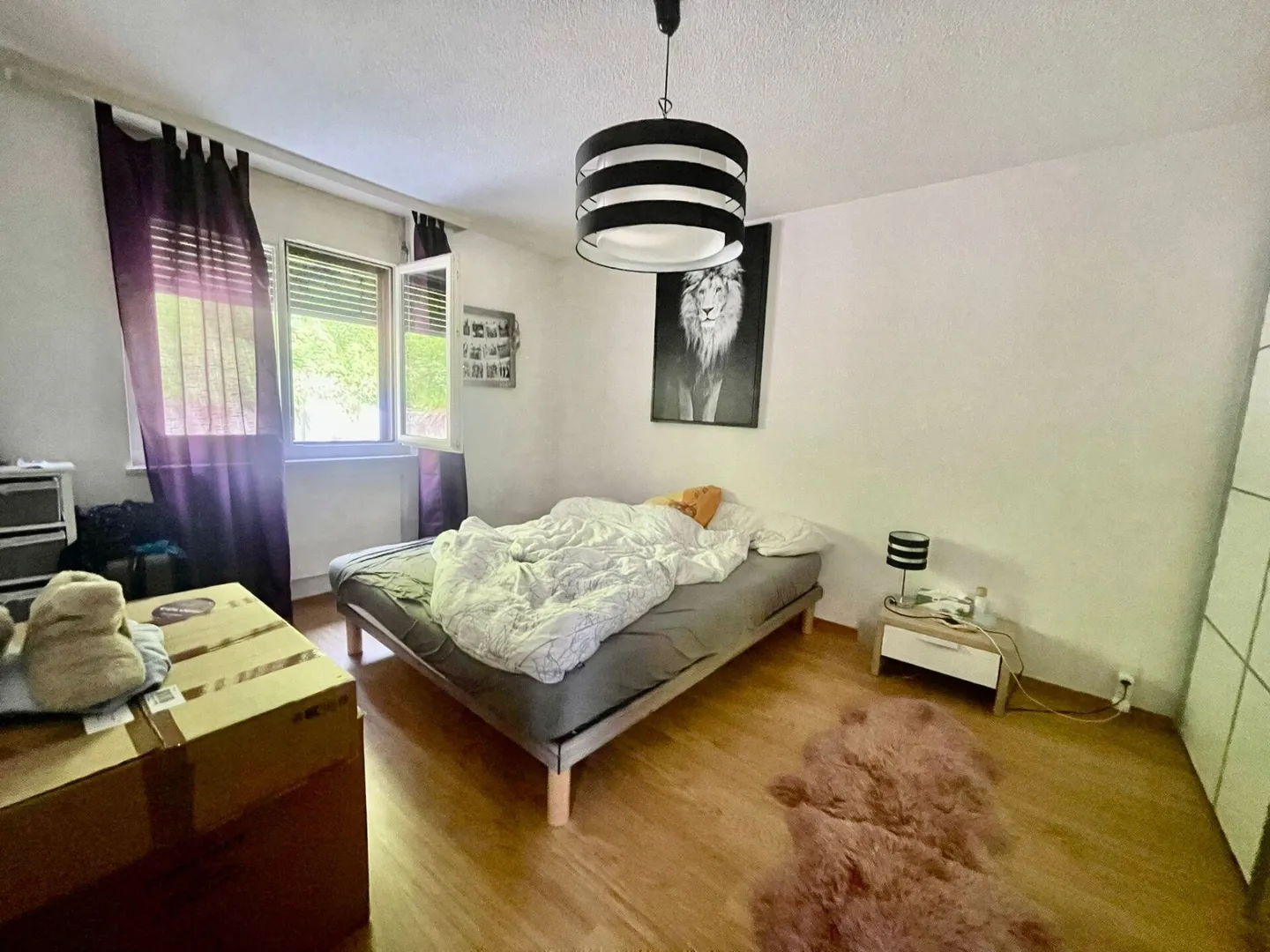 Incantevole appartamento di 2,5 stanze completamente ristrutturato - Foto 3 di 3