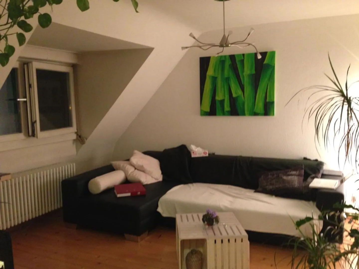 Appartement sous les combles de 2,5 pièces - Photo 2 sur 5