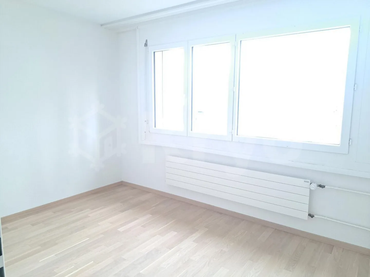 RENOVATED APARTMENT WITH BALCONY AND ELEVATOR - Photo 7 of 12