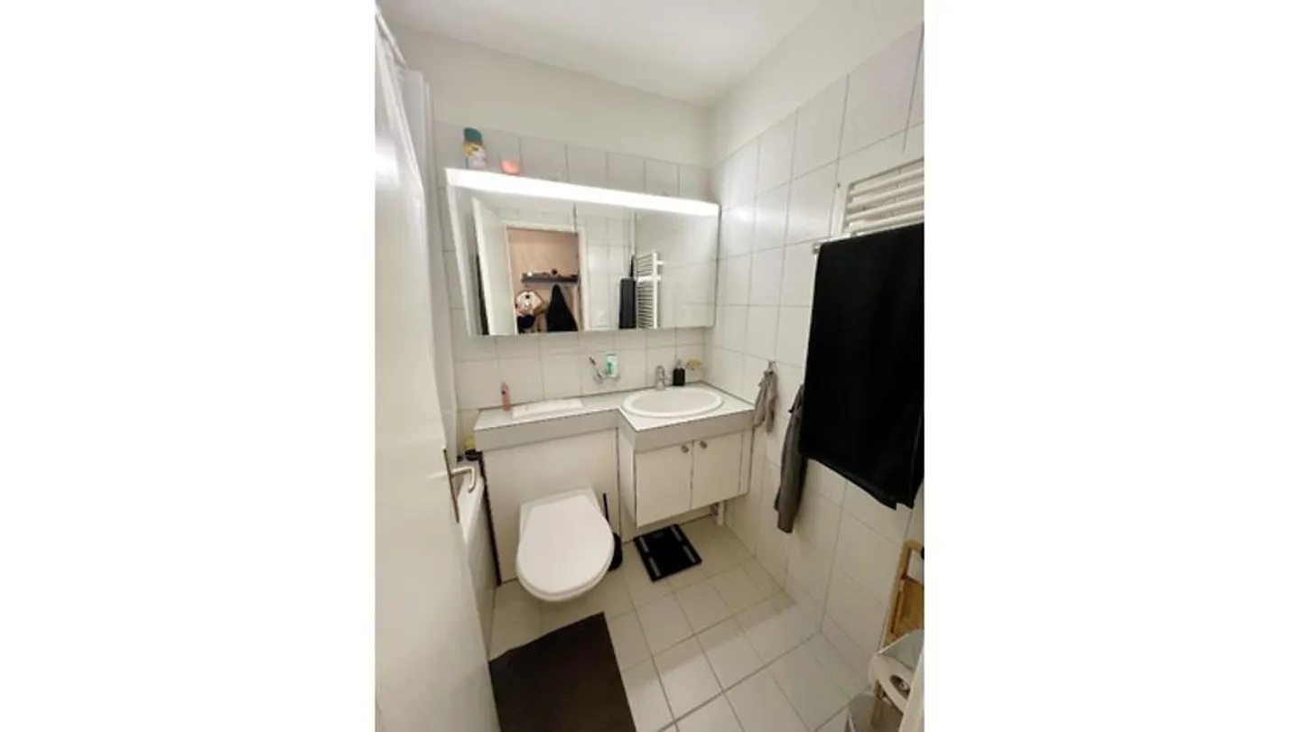 2 ROOM APARTMENT IN REGENSDORF (ZH), FURNISHED, TEMPORARY - Photo 5 of 5