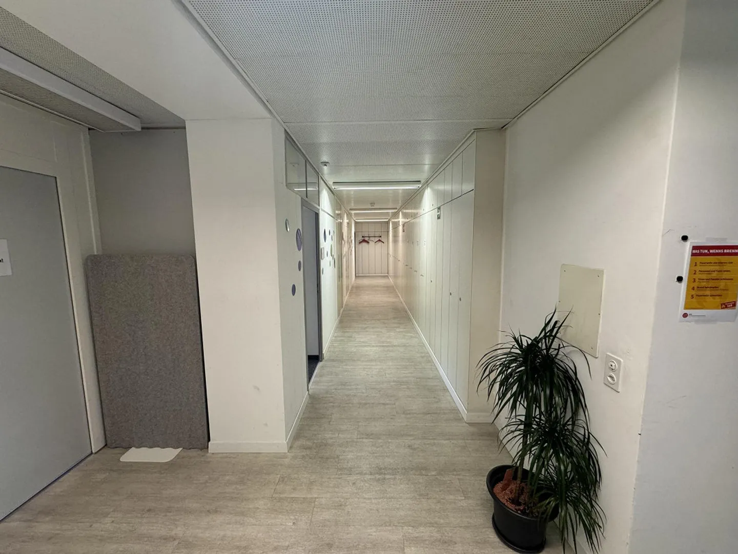 Commercial Property in Thun - Photo 2 of 12