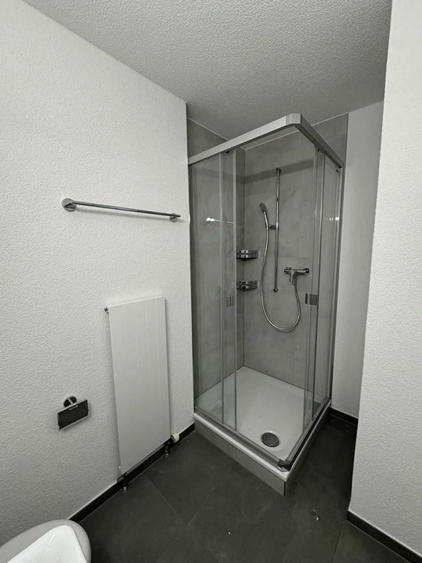 High-quality renovated 5.5-room apartment in a family-friendly location - Photo 2 of 12