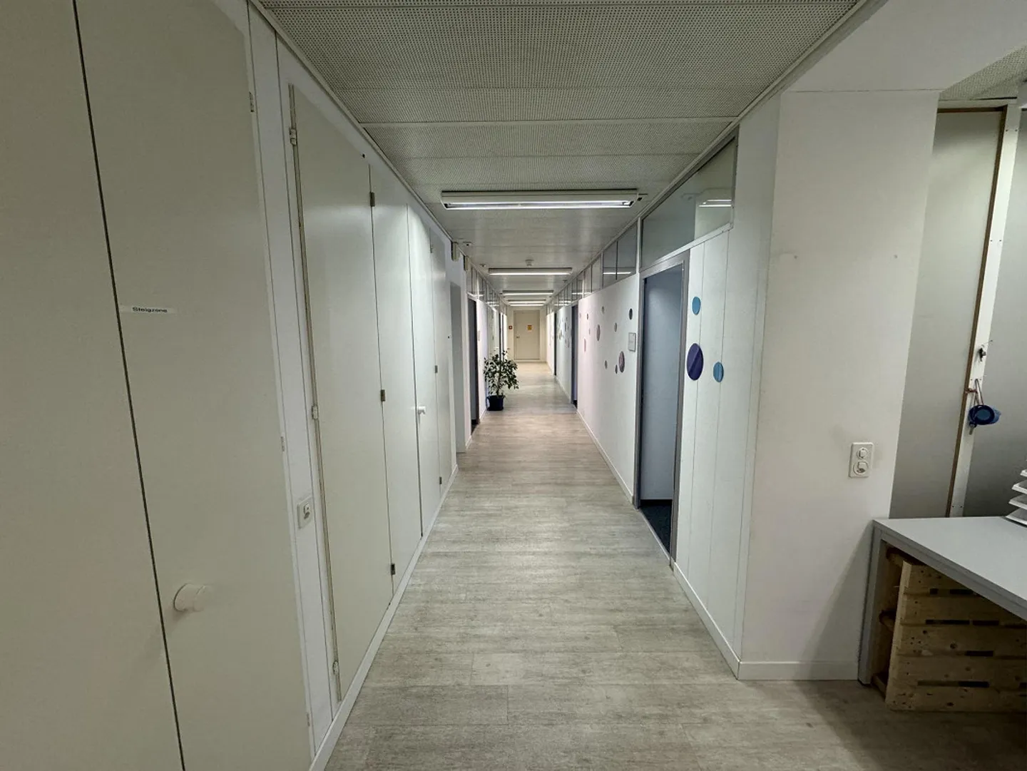 Commercial Property in Thun - Photo 6 of 12