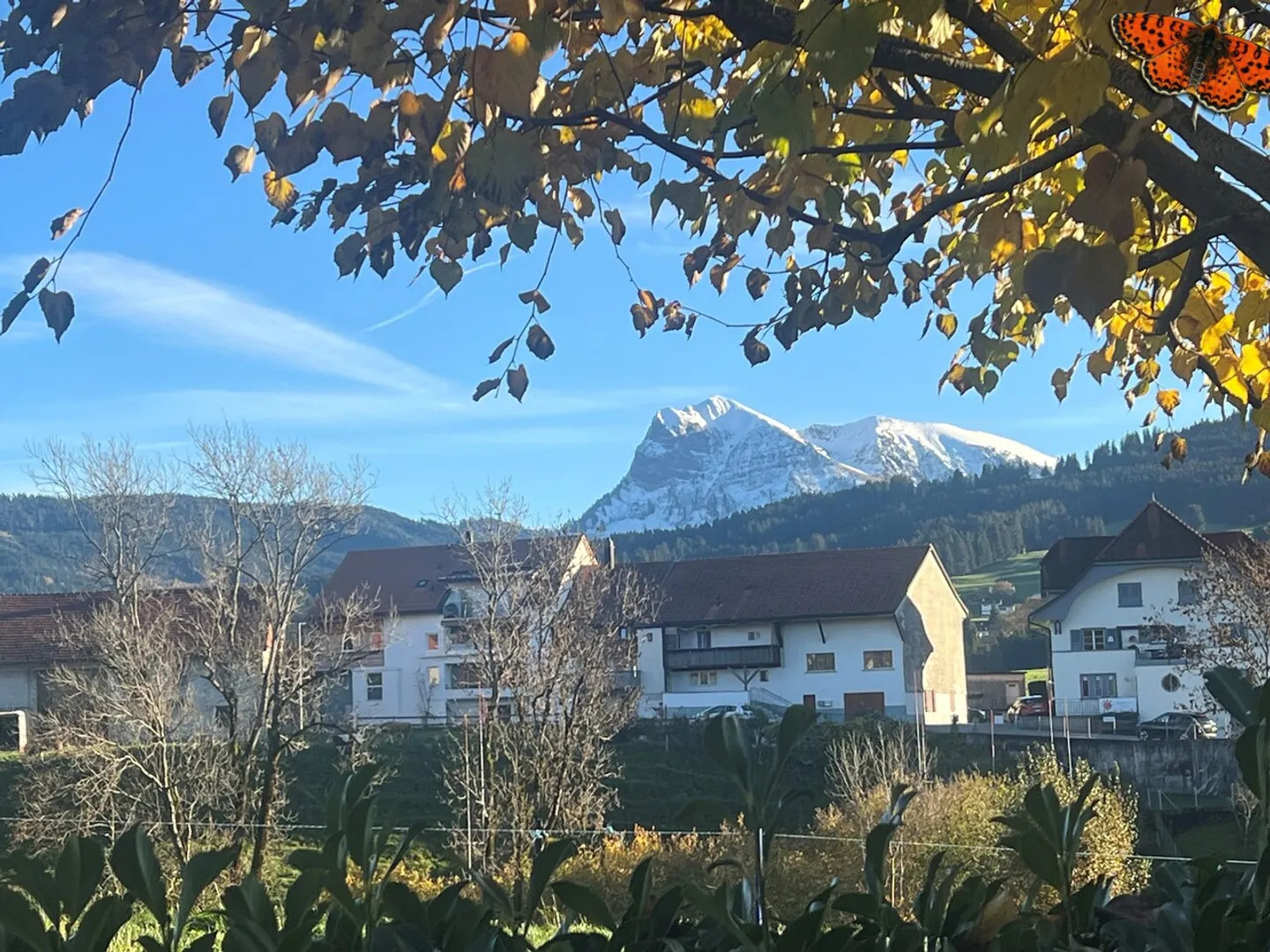 MAGNIFICENT 4-ROOM GROUND FLOOR APARTMENT! - Photo 2 of 15