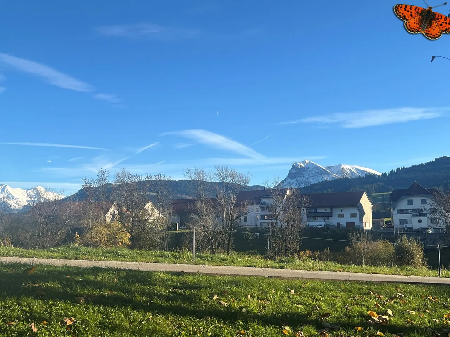 MAGNIFICENT 4-ROOM GROUND FLOOR APARTMENT! - Photo 12 of 15