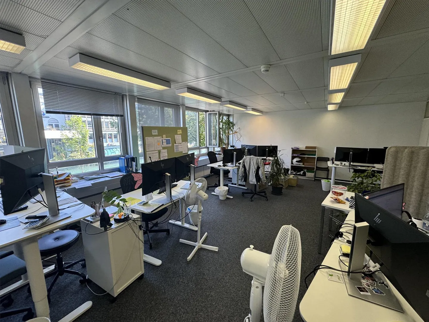 Commercial Property in Thun - Photo 11 of 12