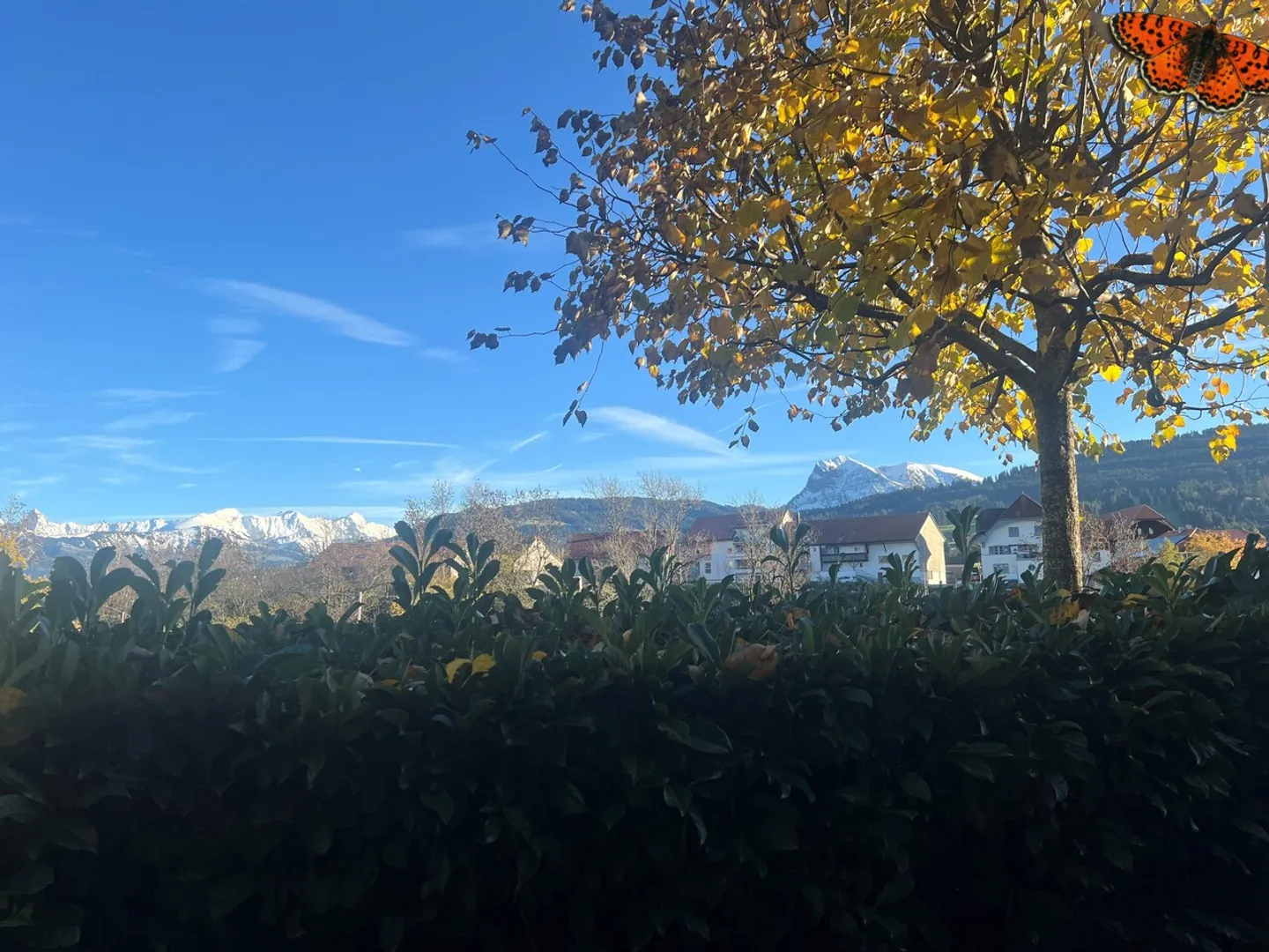 MAGNIFICENT 4-ROOM GROUND FLOOR APARTMENT! - Photo 14 of 15