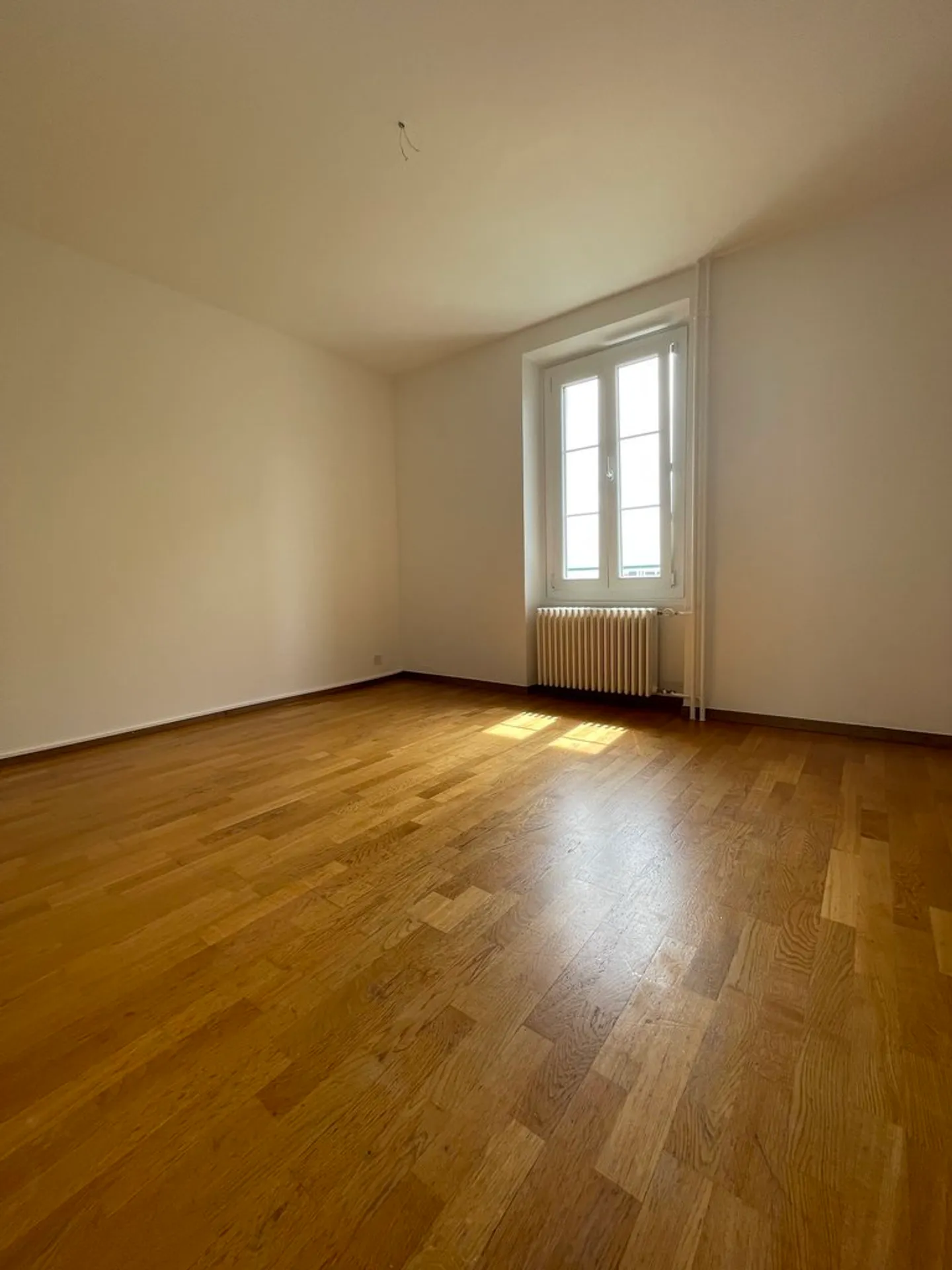 Charming Apartment in Quiet Area - Photo 4 of 8