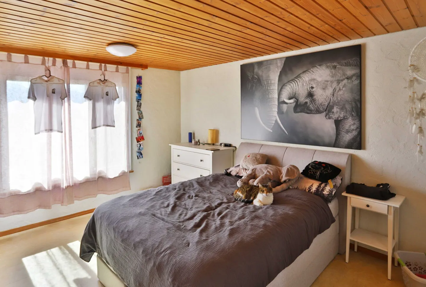 Charmante 2-Zi. Wohnung - Foto 3 von 7