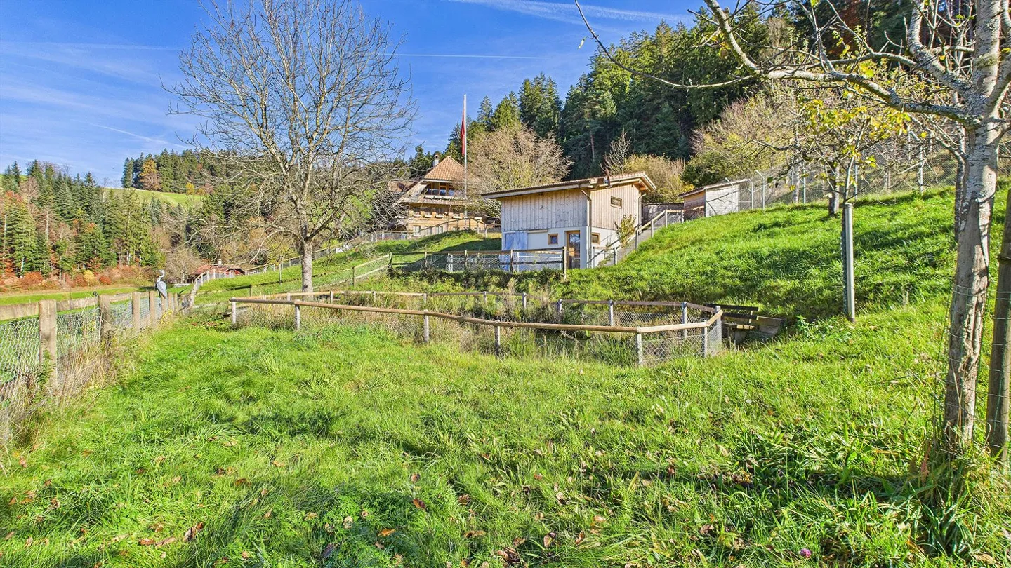 Paradise in Emmental - Photo 3 of 23