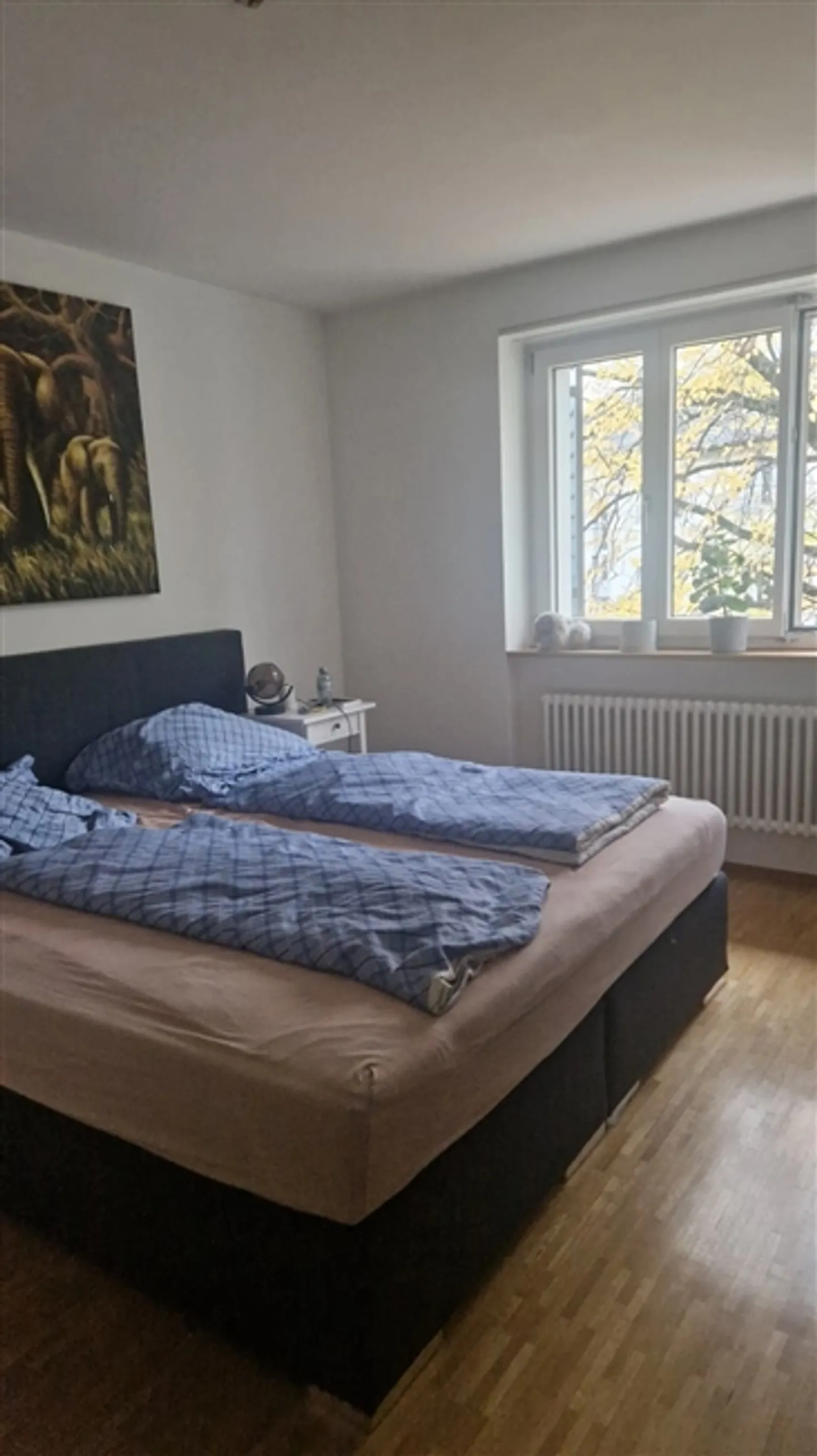 «2½ ZI-WOHNUNG IN ZÜRICH - KREIS 3, MÖBLIERT, TEMPORÄR» - Foto 2 von 4