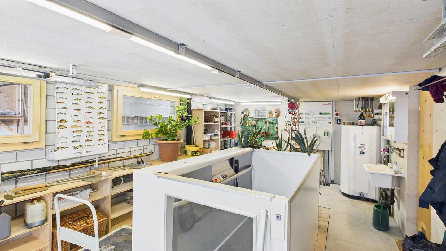 Paradise in Emmental - Photo 22 of 23