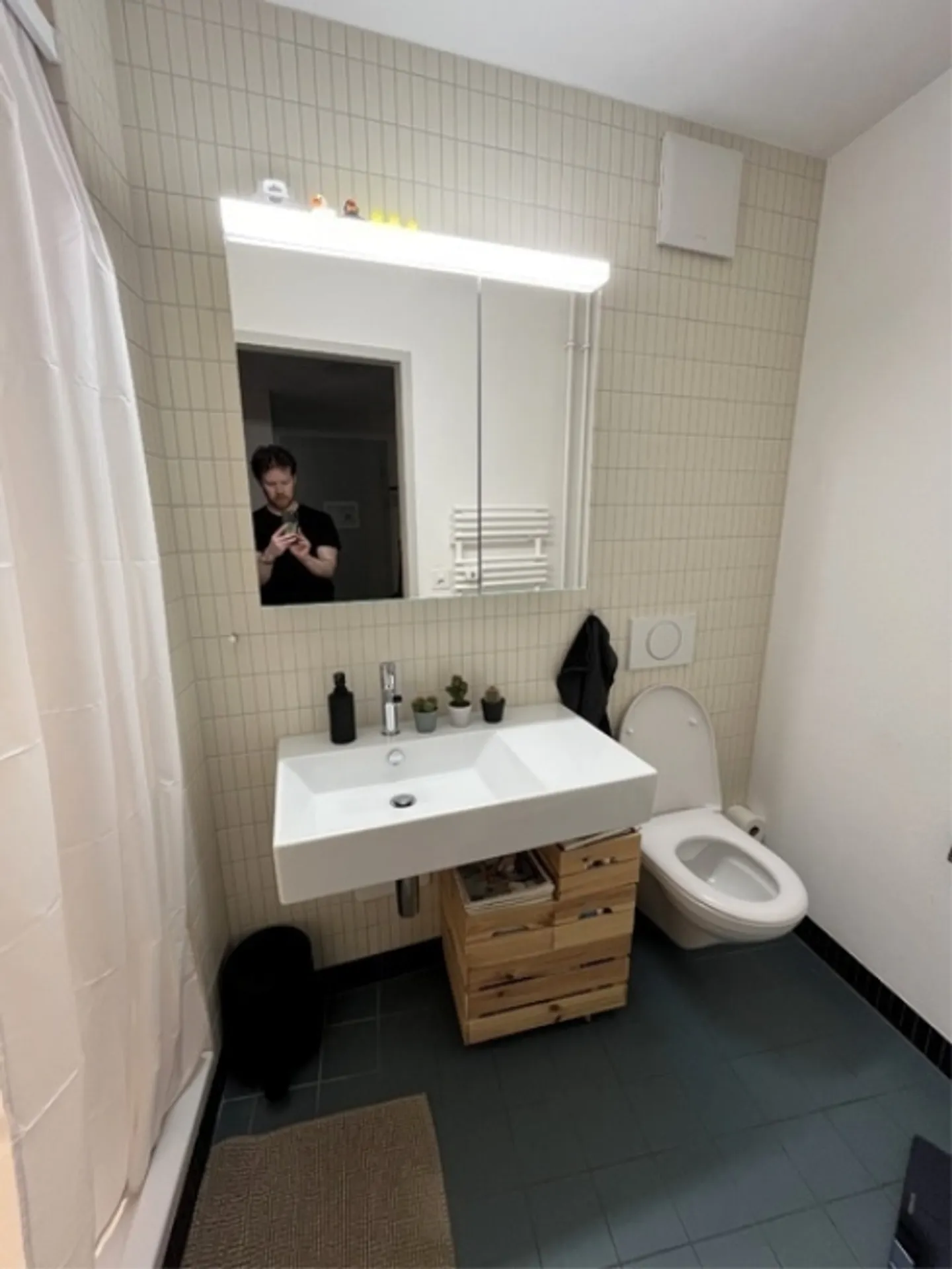 3½ ROOM APARTMENT IN BERN - OLD TOWN, FURNISHED, TEMPORARY - Photo 6 of 7