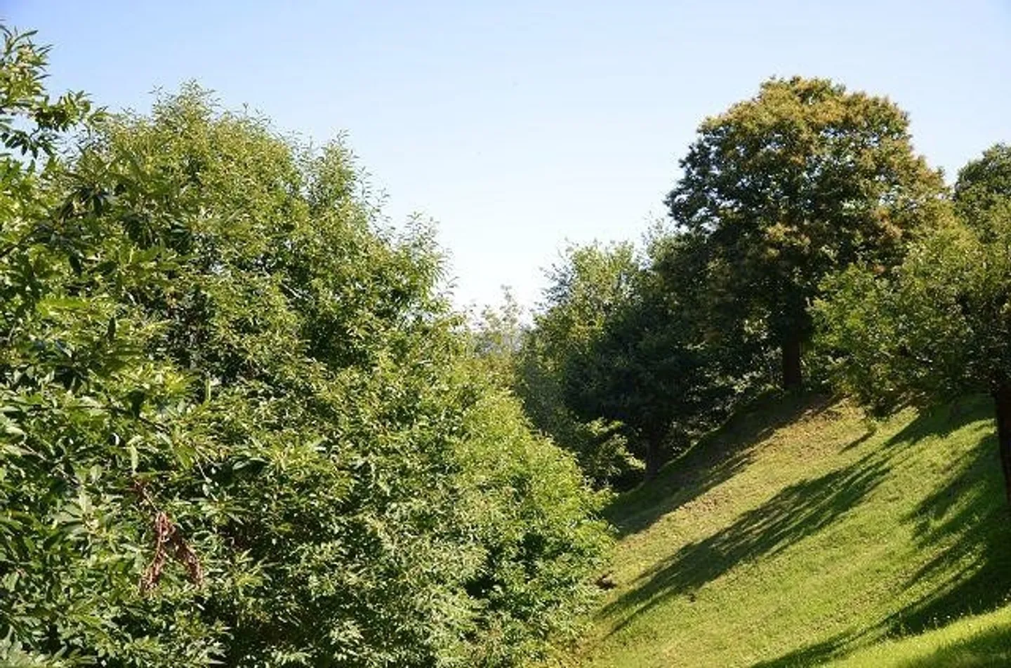 Bel rustique de montagne avec jardin et vue imprenable ... - Photo 30 sur 39