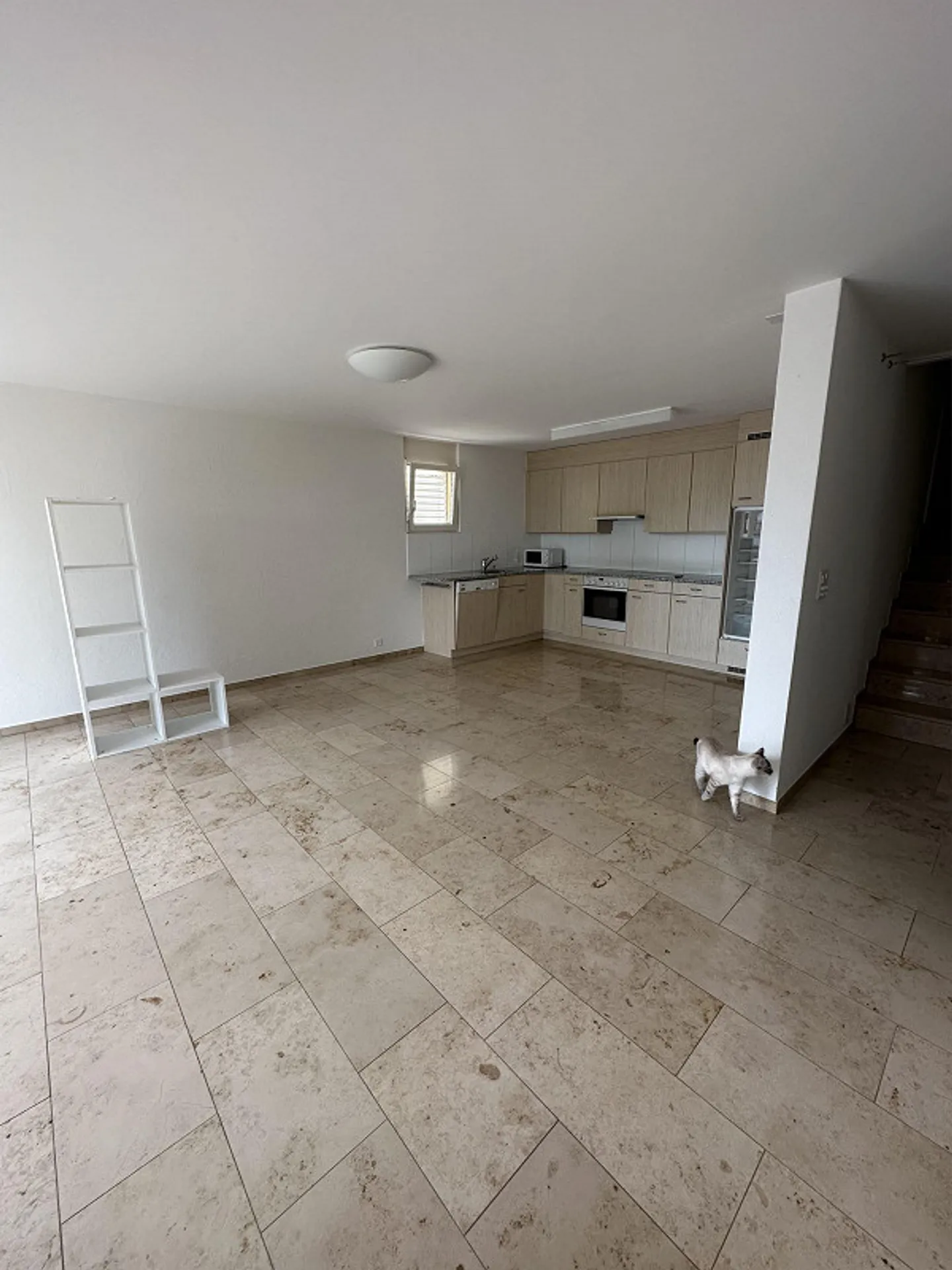 Beautiful, bright 3.5 room basement apartment - Photo 5 of 7