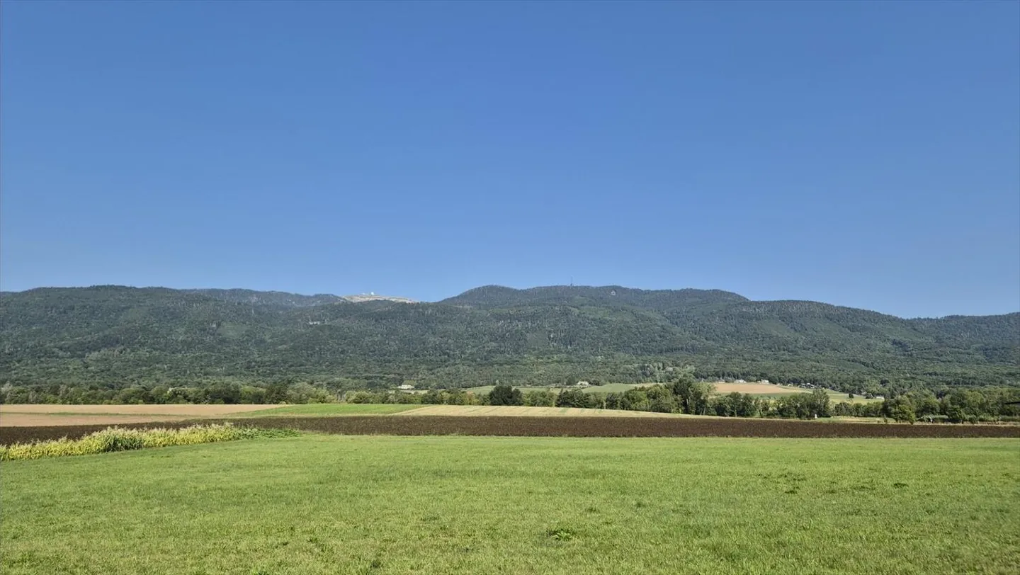 5-Zimmer-Haus - Foto 5 von 13