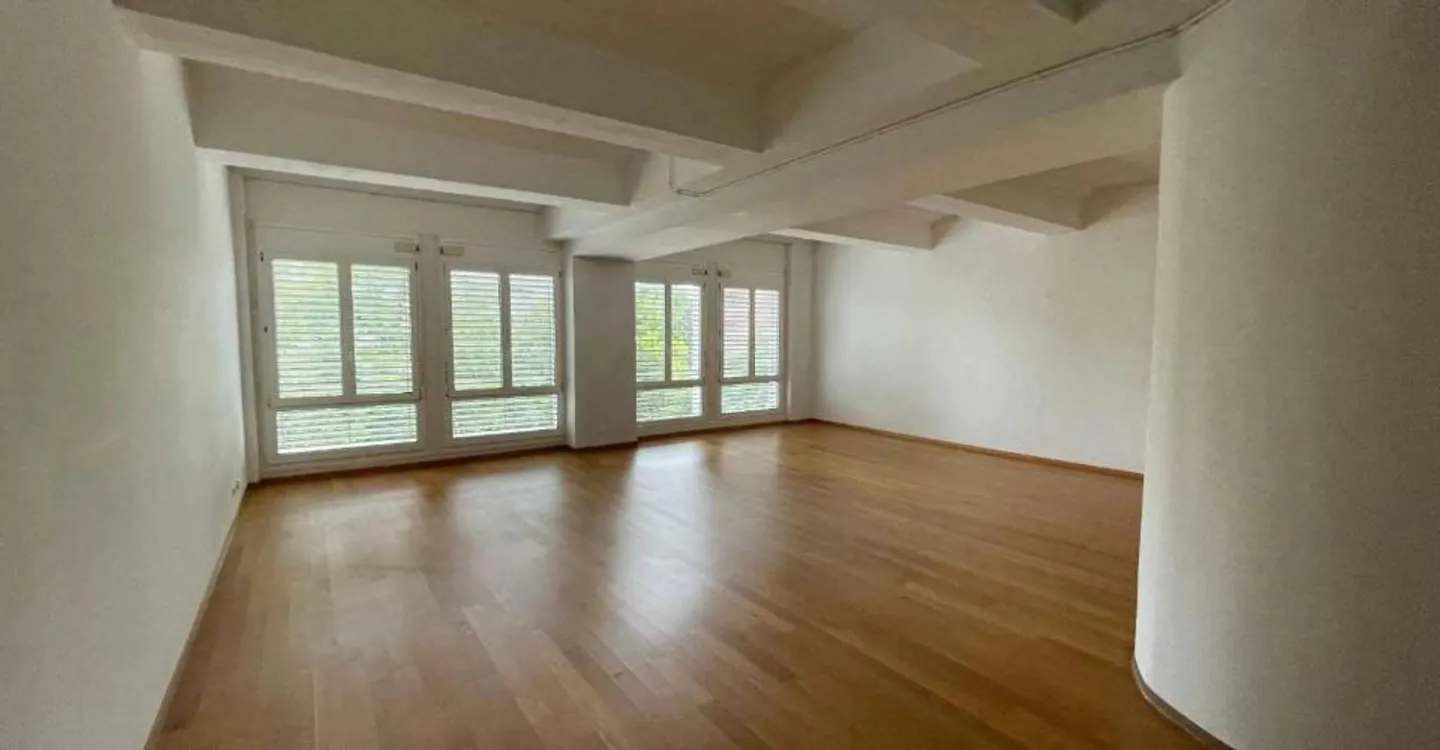 Magnificent bright loft of 88 m2 in Lausanne - Sous-Gare district - Photo 2 of 6