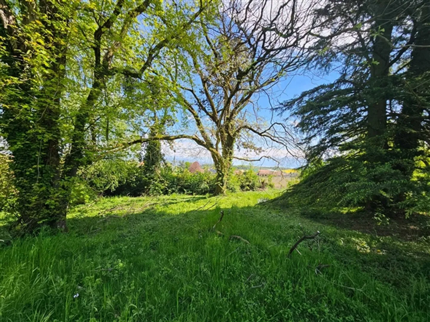 «Off-Plan Luxus freistehende Villa - NEU» - Foto 6 von 13